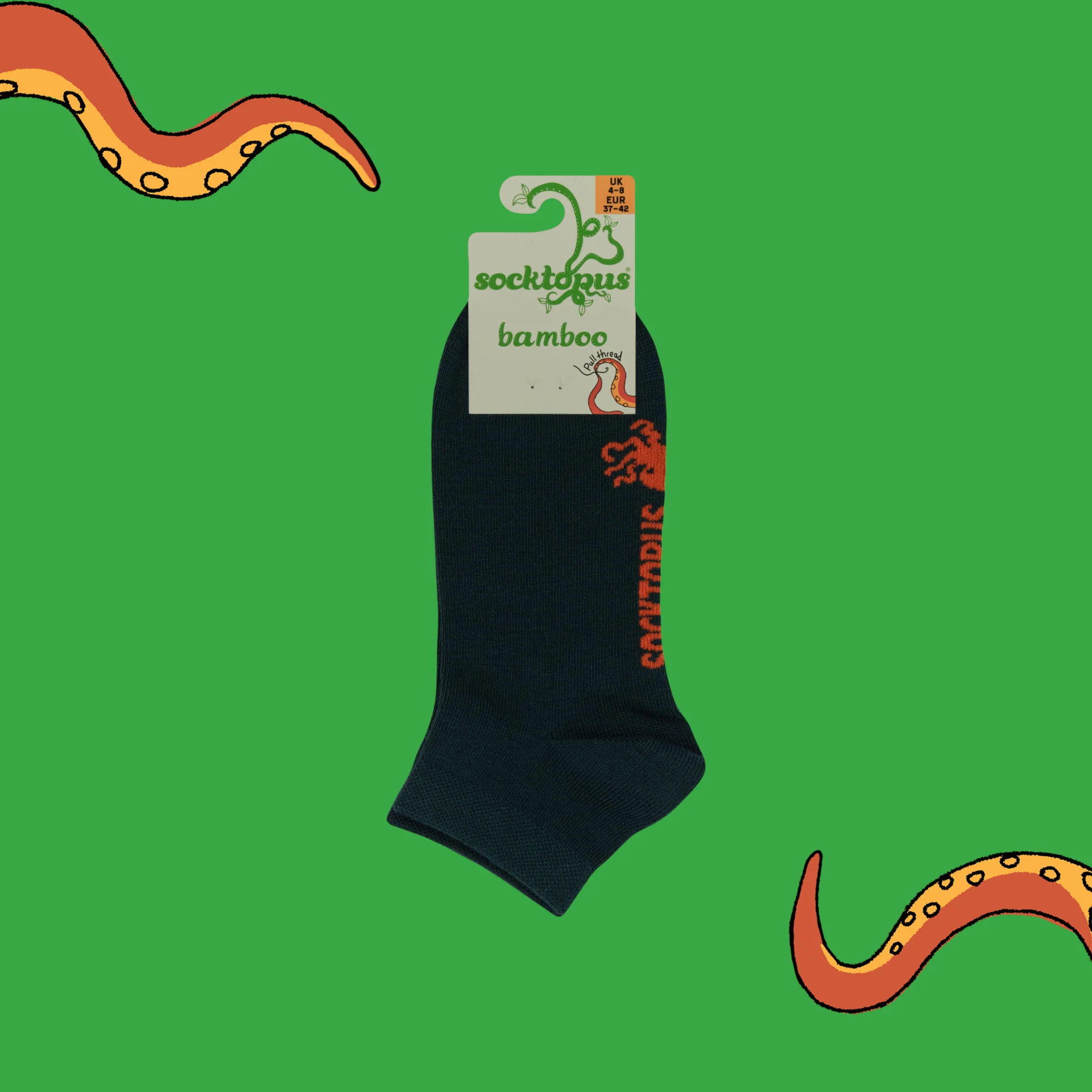 Absinthe - Bamboo Colours Trainer Socks - Image 4