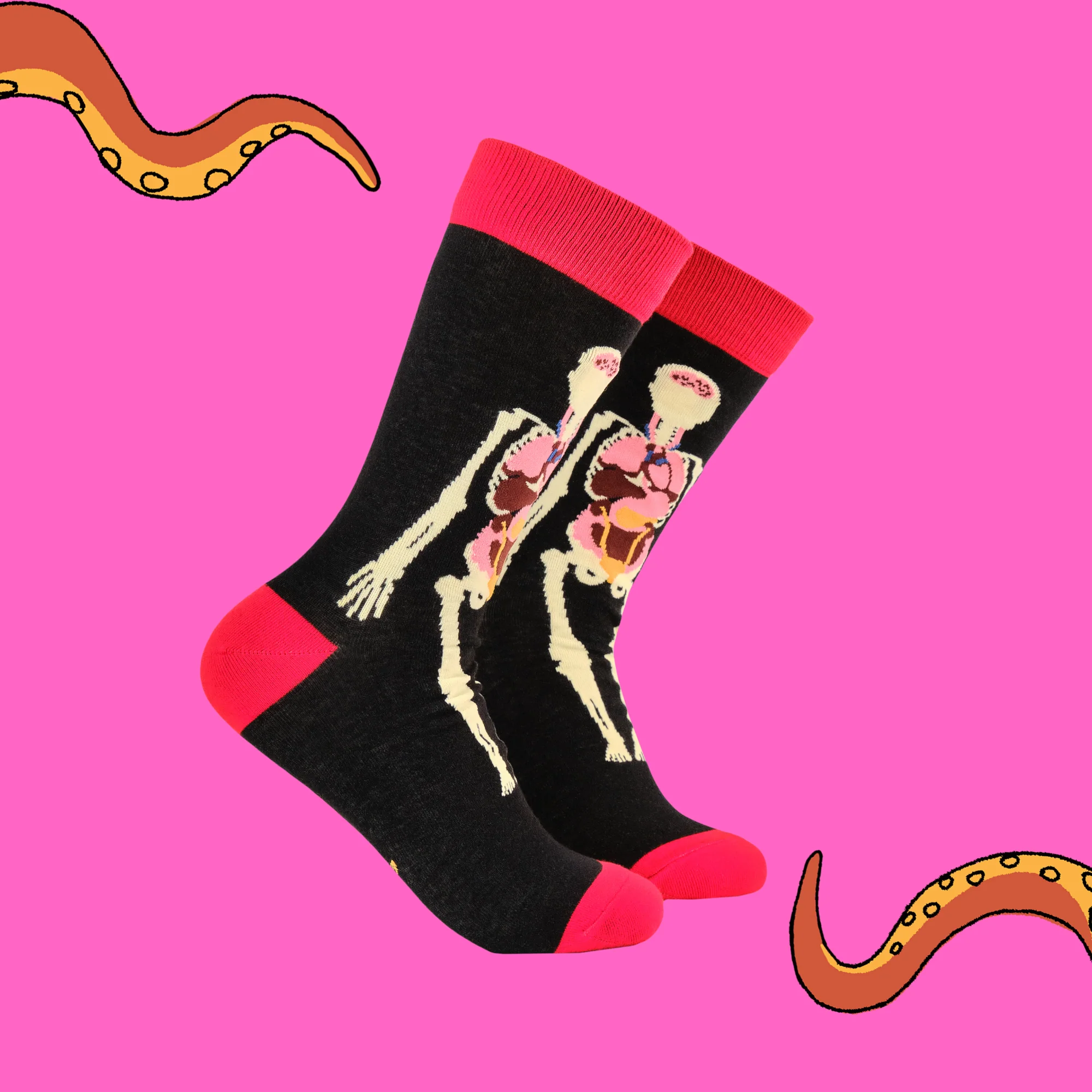 Bamboo Socks - Anatomy - Image 2