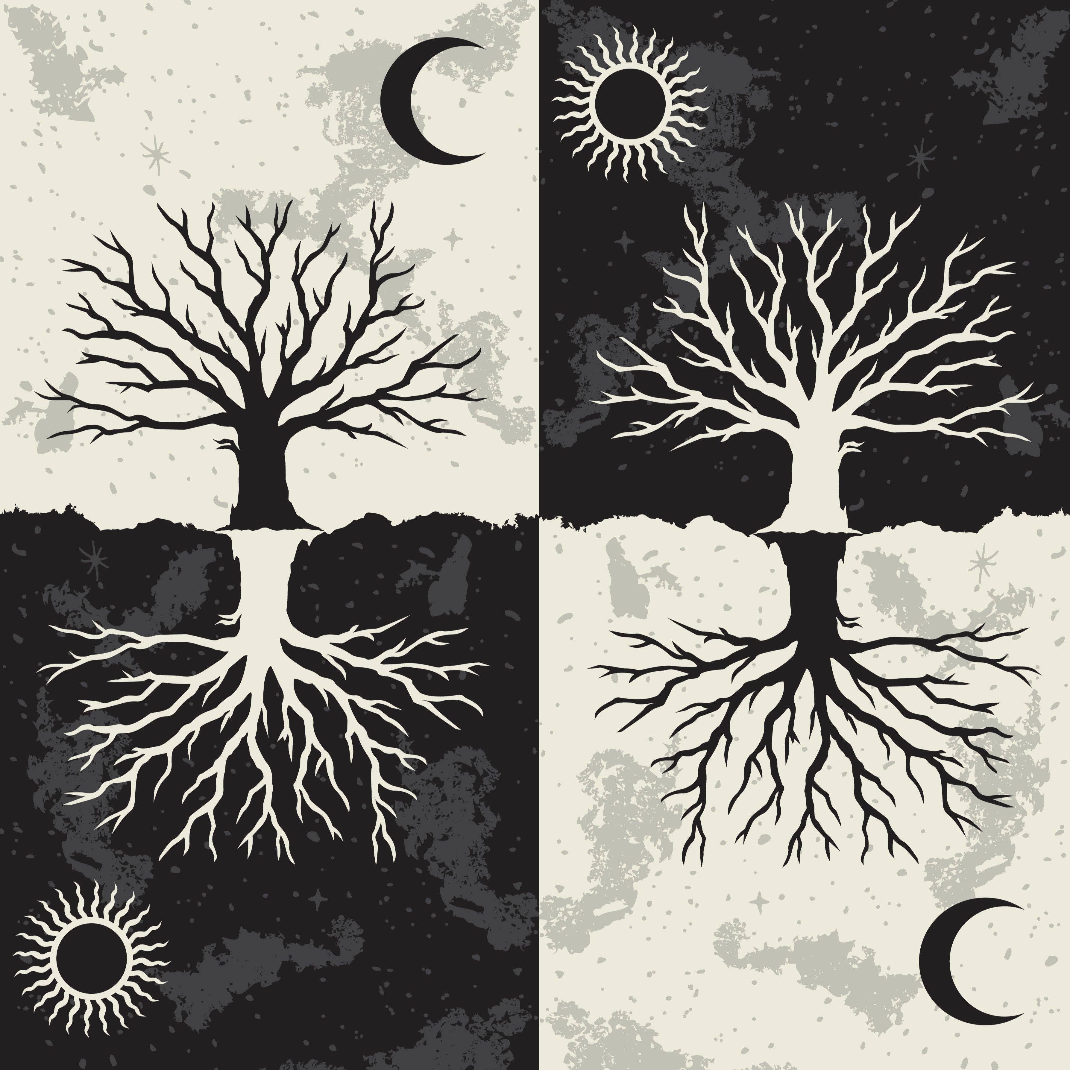 As Above So Below Tree Knee High Socks - Image 7