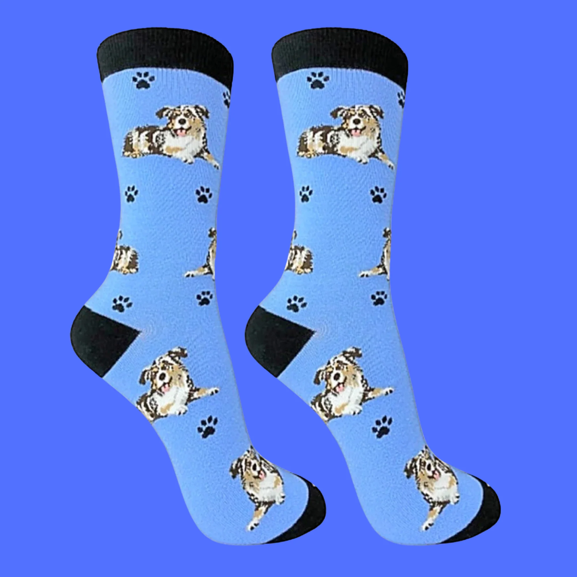 Australian Shepherd Dog Full Body Socks - Image 2