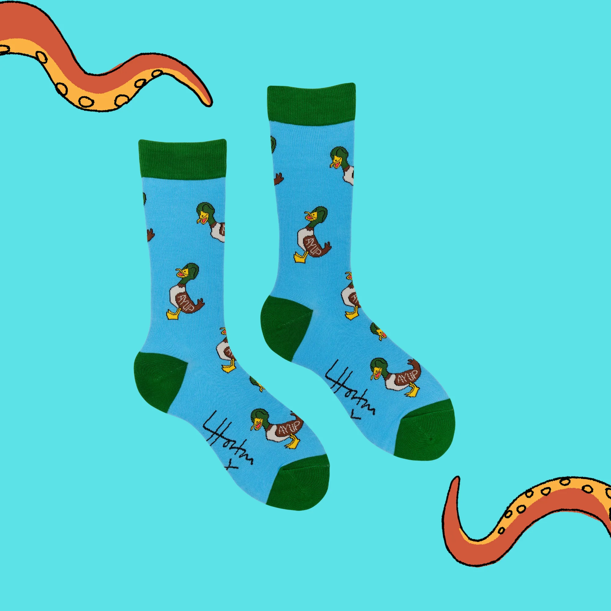 Aye Up Duck Socks - Luke Horton X Socktopus - Image 3