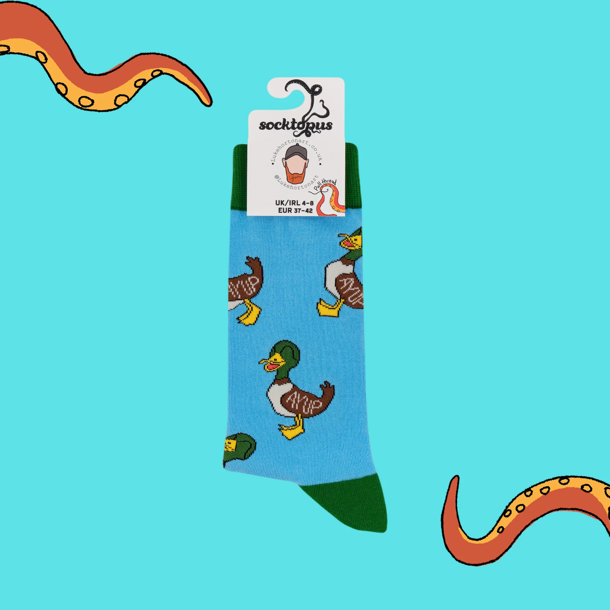 Aye Up Duck Socks - Luke Horton X Socktopus - Image 4