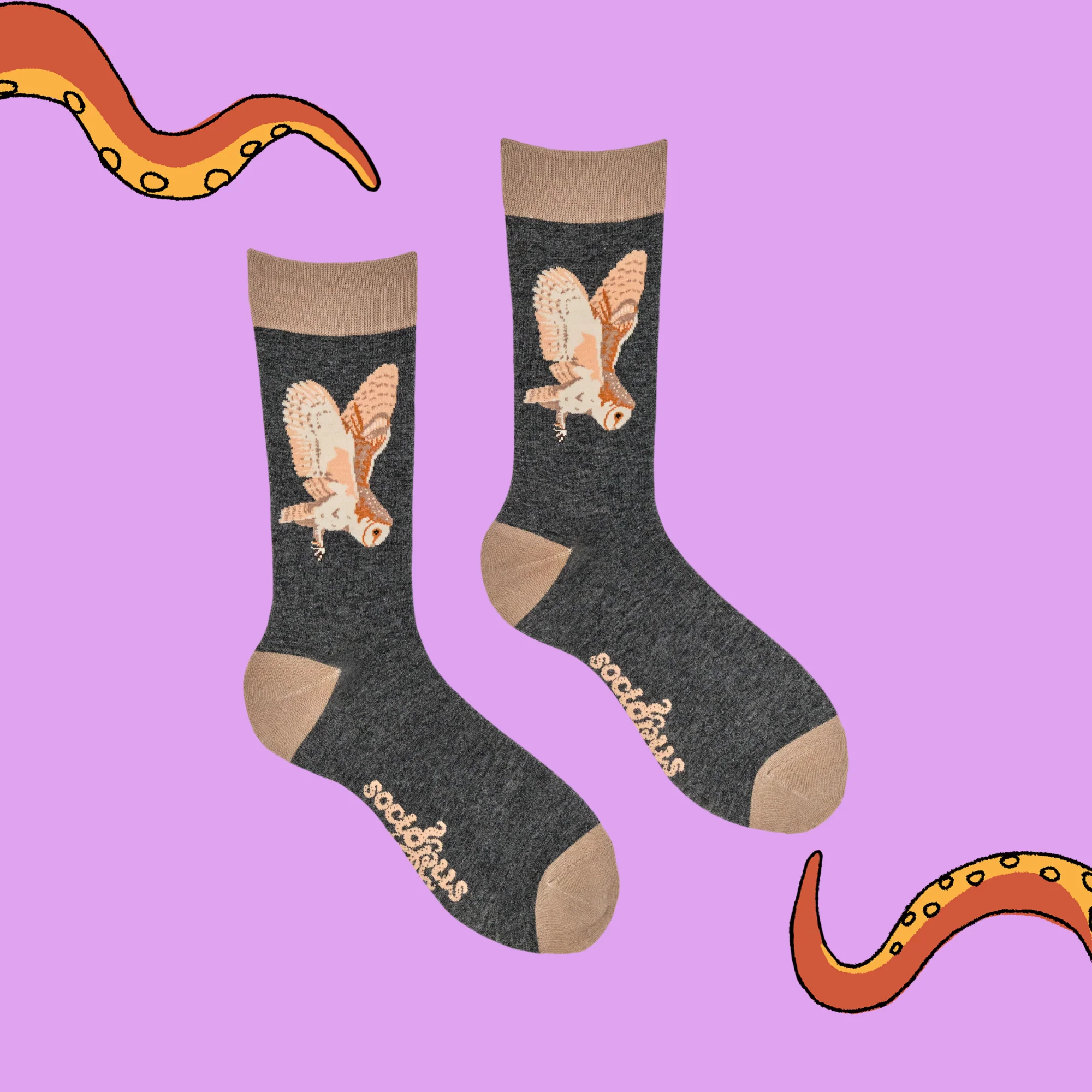 Owl Socks - Socktopus X Robert E Fuller - Image 3