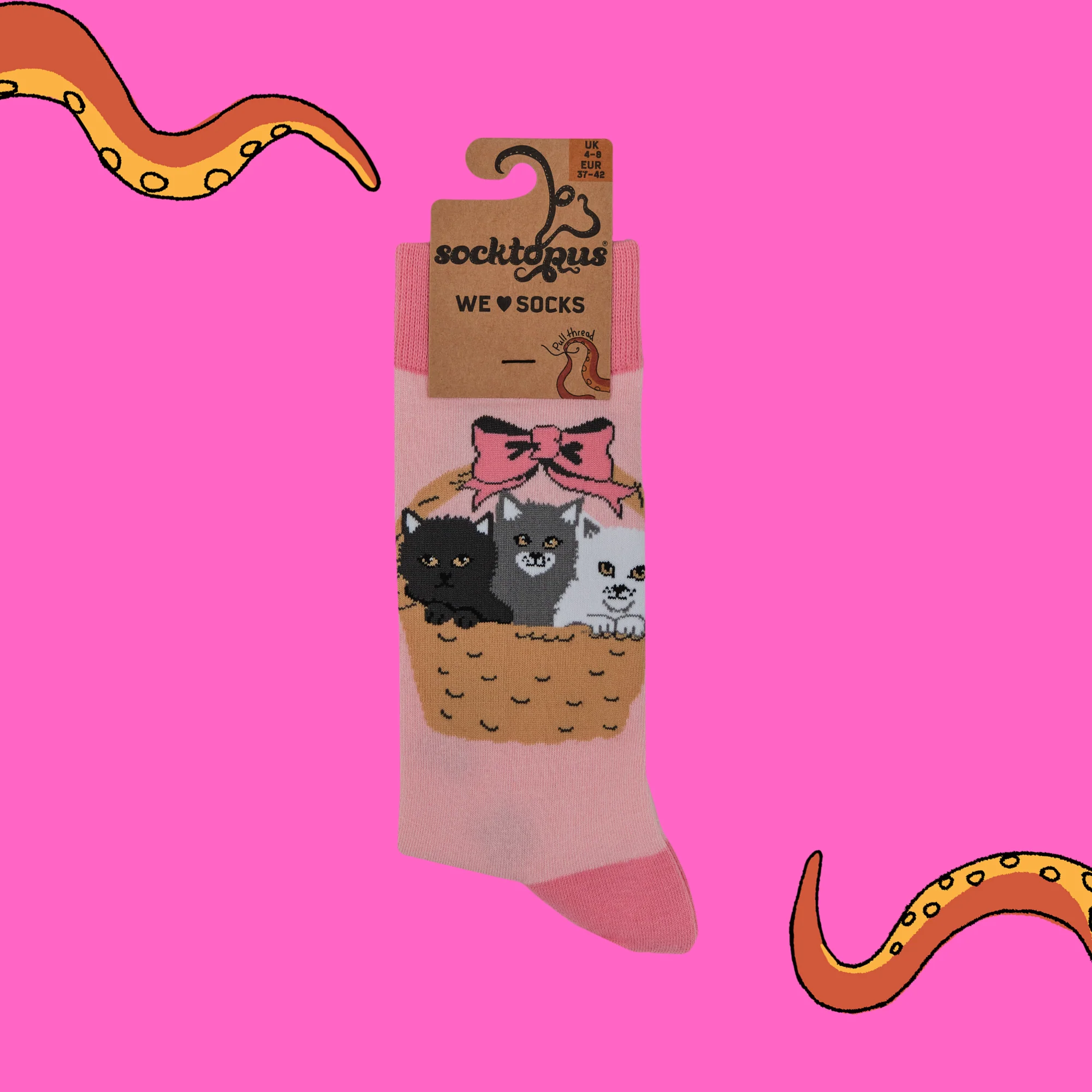 Kitten Socks - Litter Basket - Image 4
