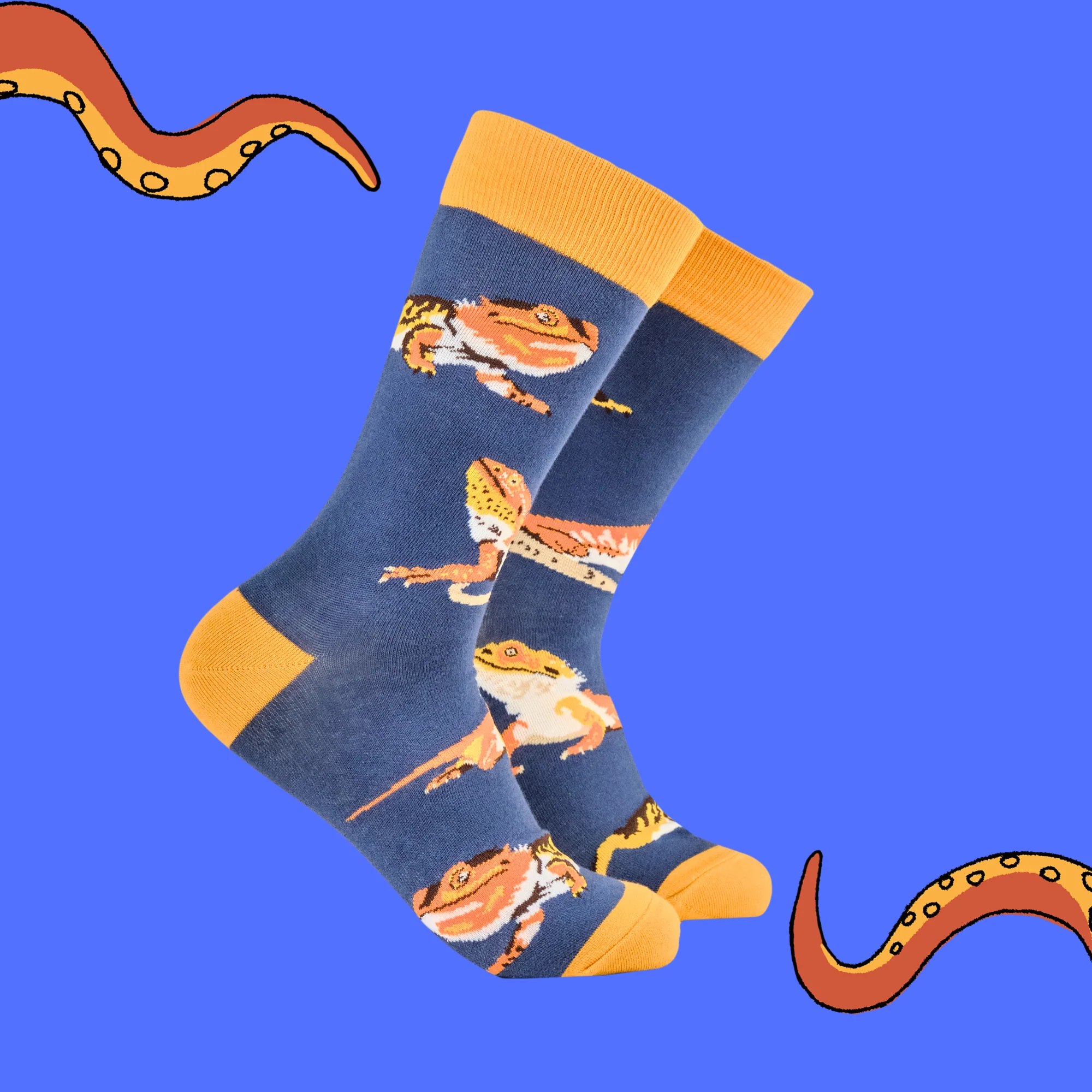 Bearded Dragon Socks - Image 2