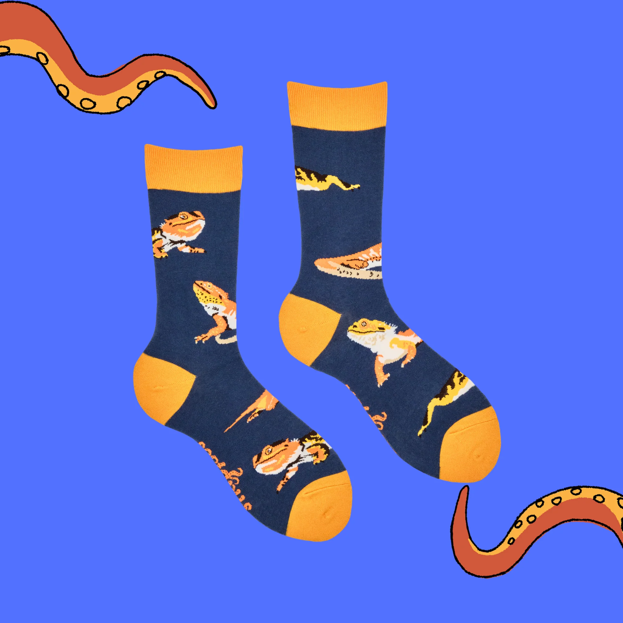 Bearded Dragon Socks - Image 3