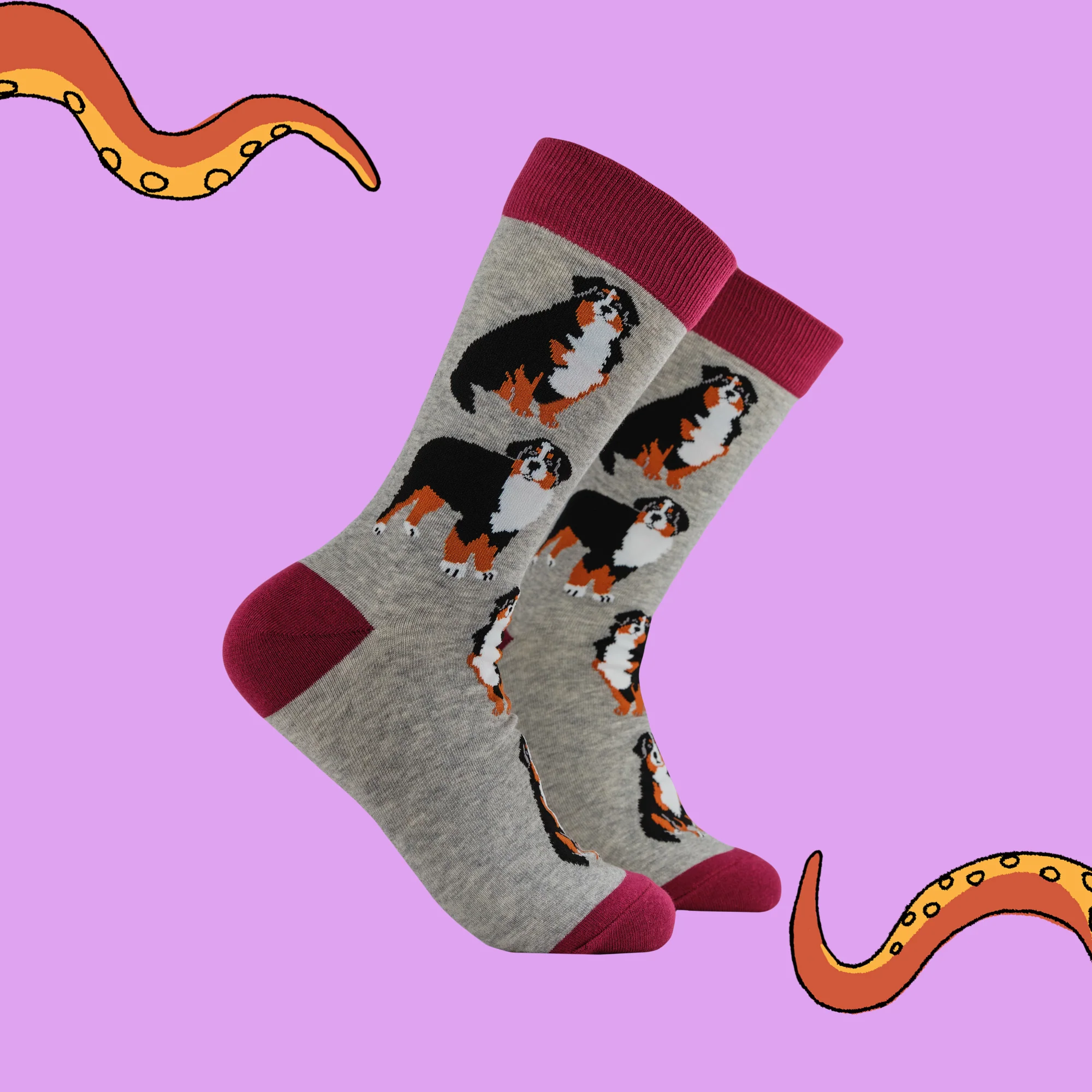 Bernese Mountain Dog Socks - Feel The Bern - Image 2