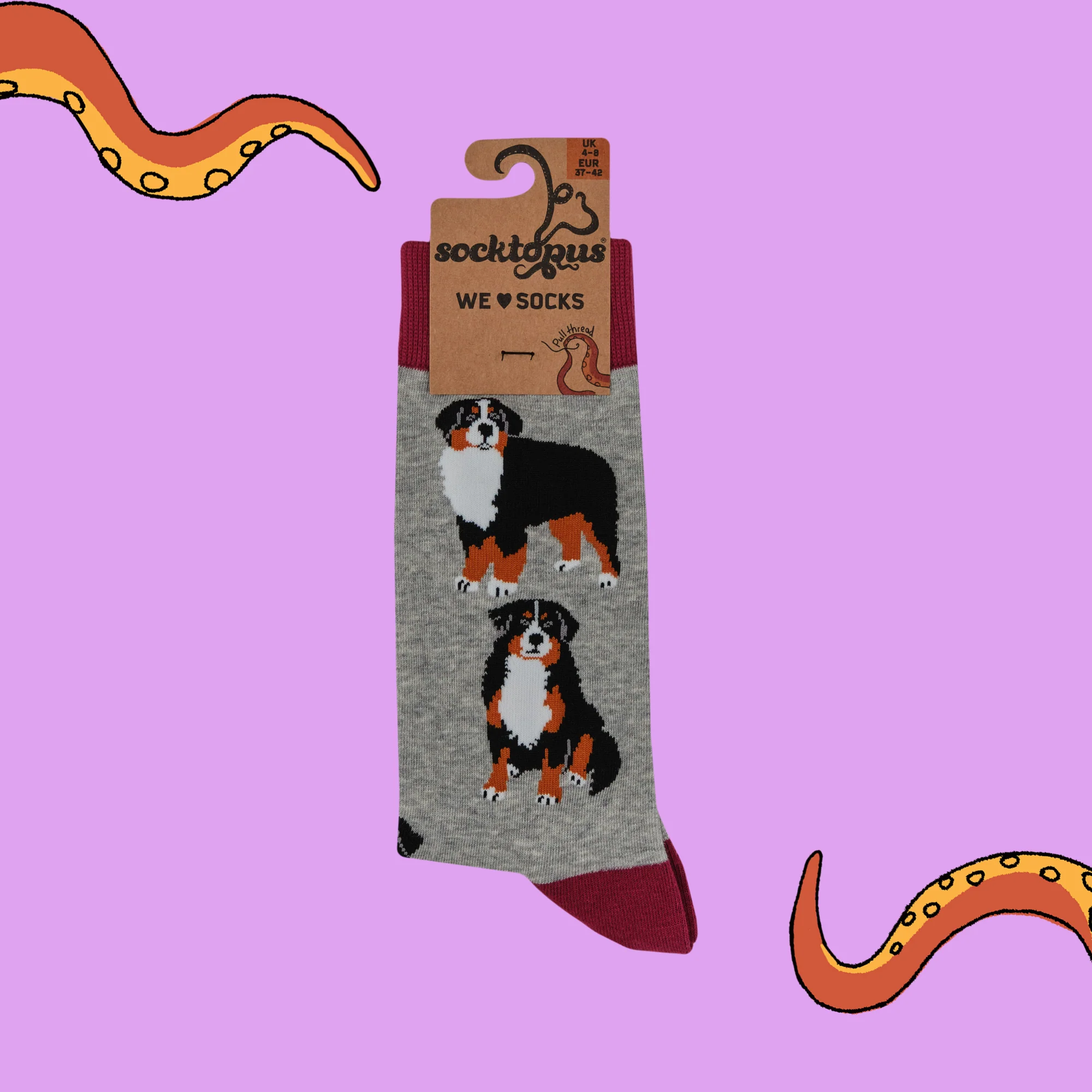 Bernese Mountain Dog Socks - Feel The Bern - Image 4