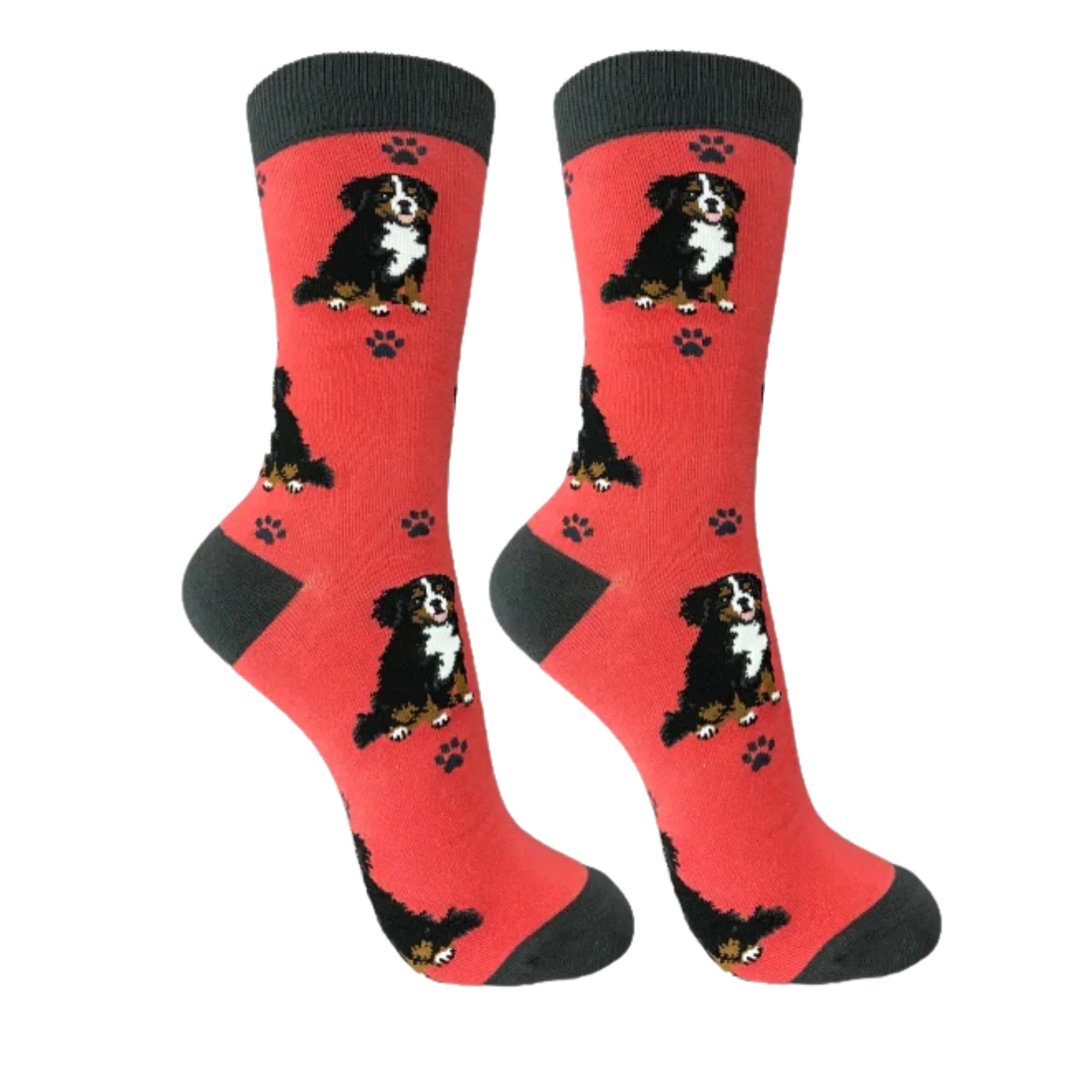 Bernese Mountain Dog Full Body Socks