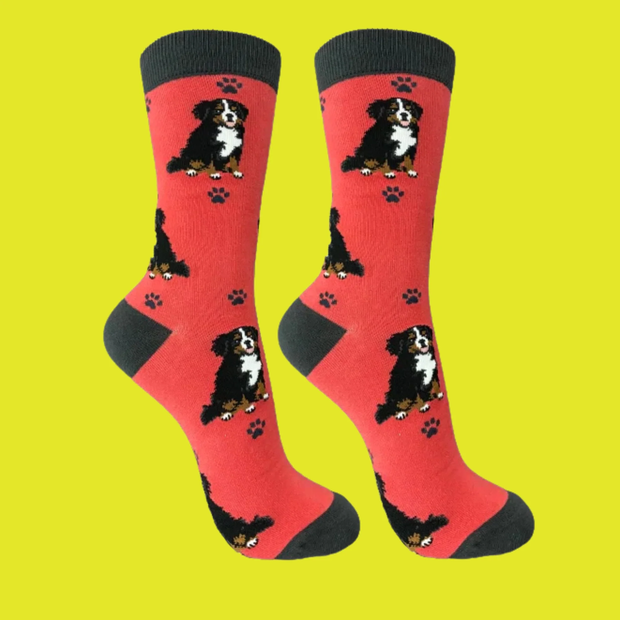 Bernese Mountain Dog Full Body Socks - Image 2