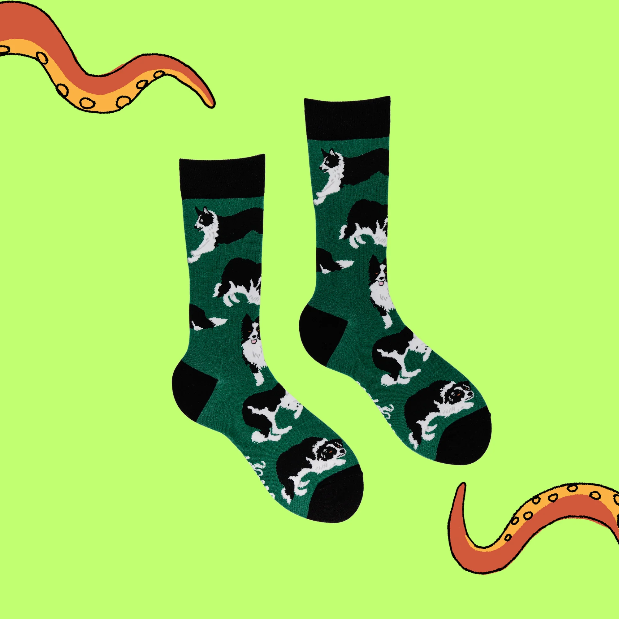 Border Collie Dog Socks - Collies - Image 6