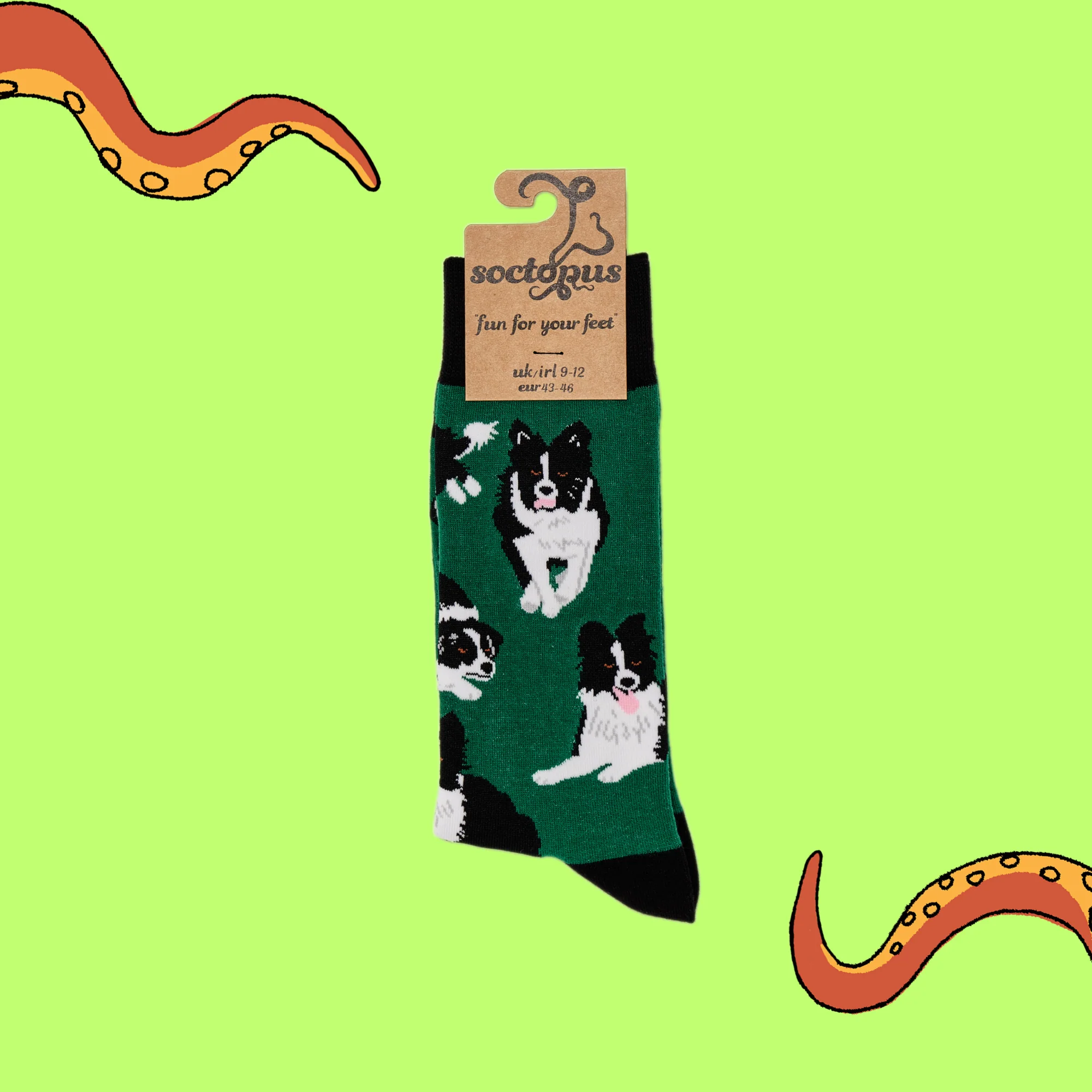 Border Collie Dog Socks - Collies - Image 8