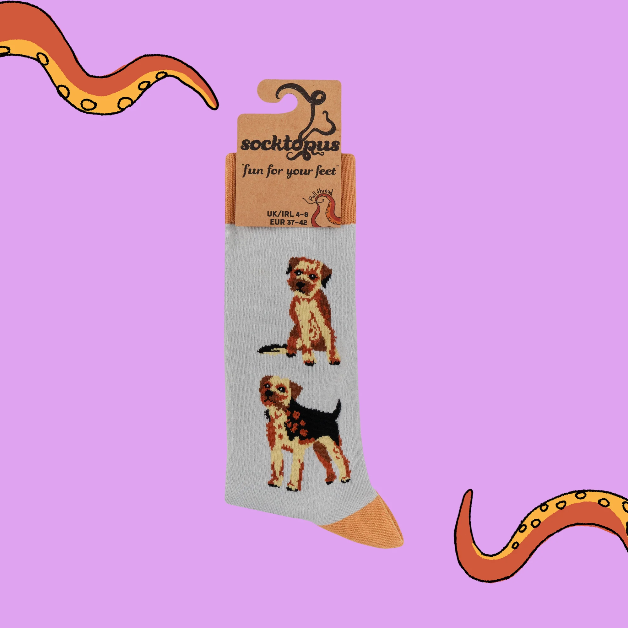 Border Terrier Socks - Borderline Obsessed - Image 4