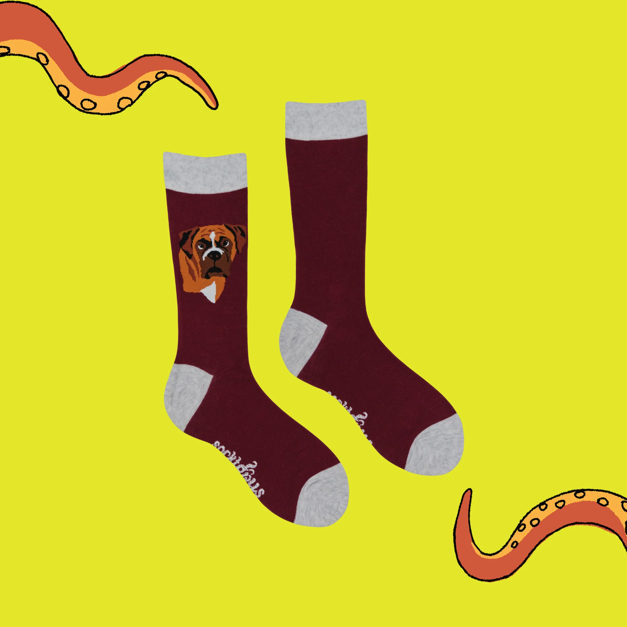 Boxer Dog Socks - Think Outside The Boxer - Image 3