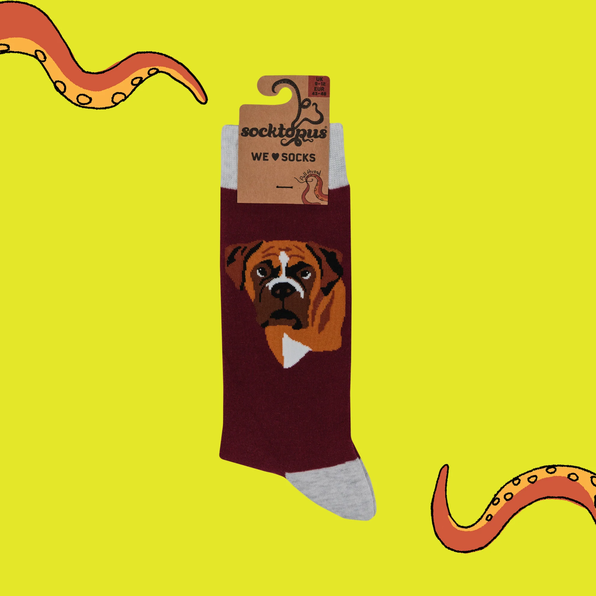 Boxer Dog Socks - Think Outside The Boxer - Image 4