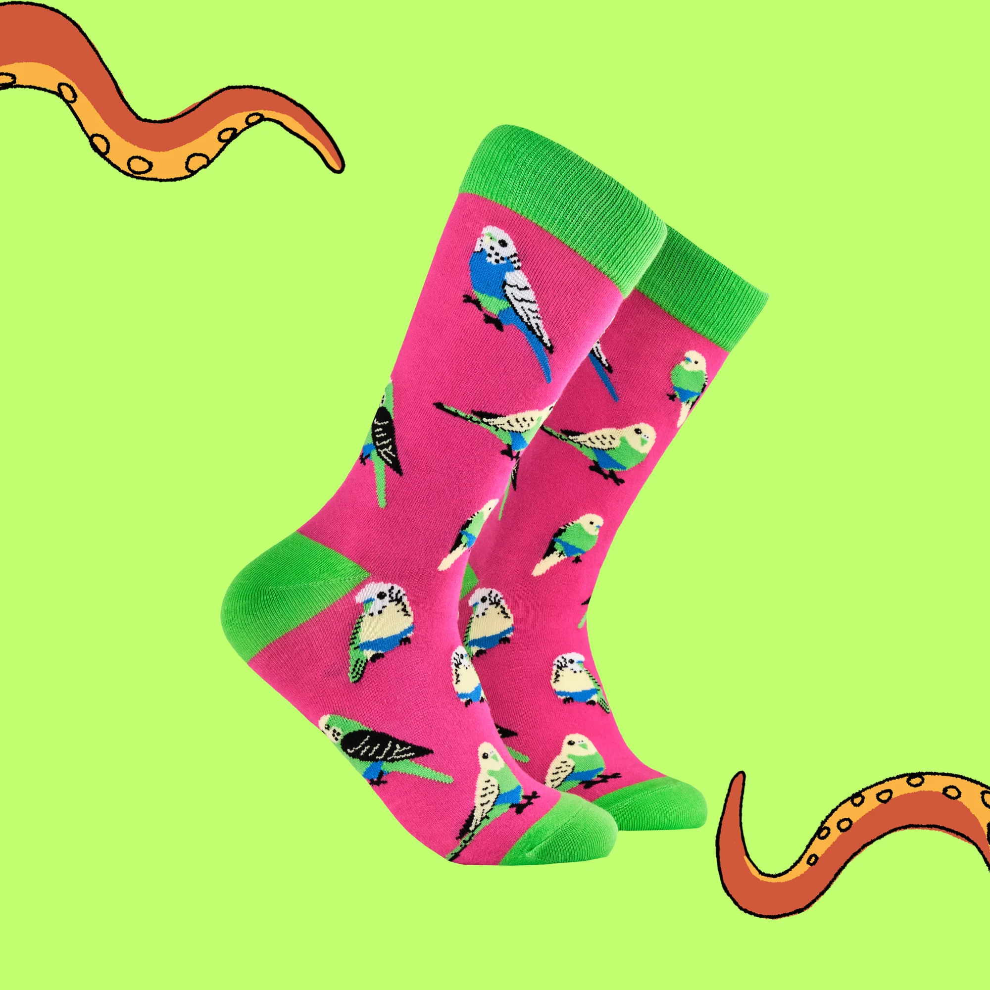 Bird Socks - Budgie Smugglers - Image 2