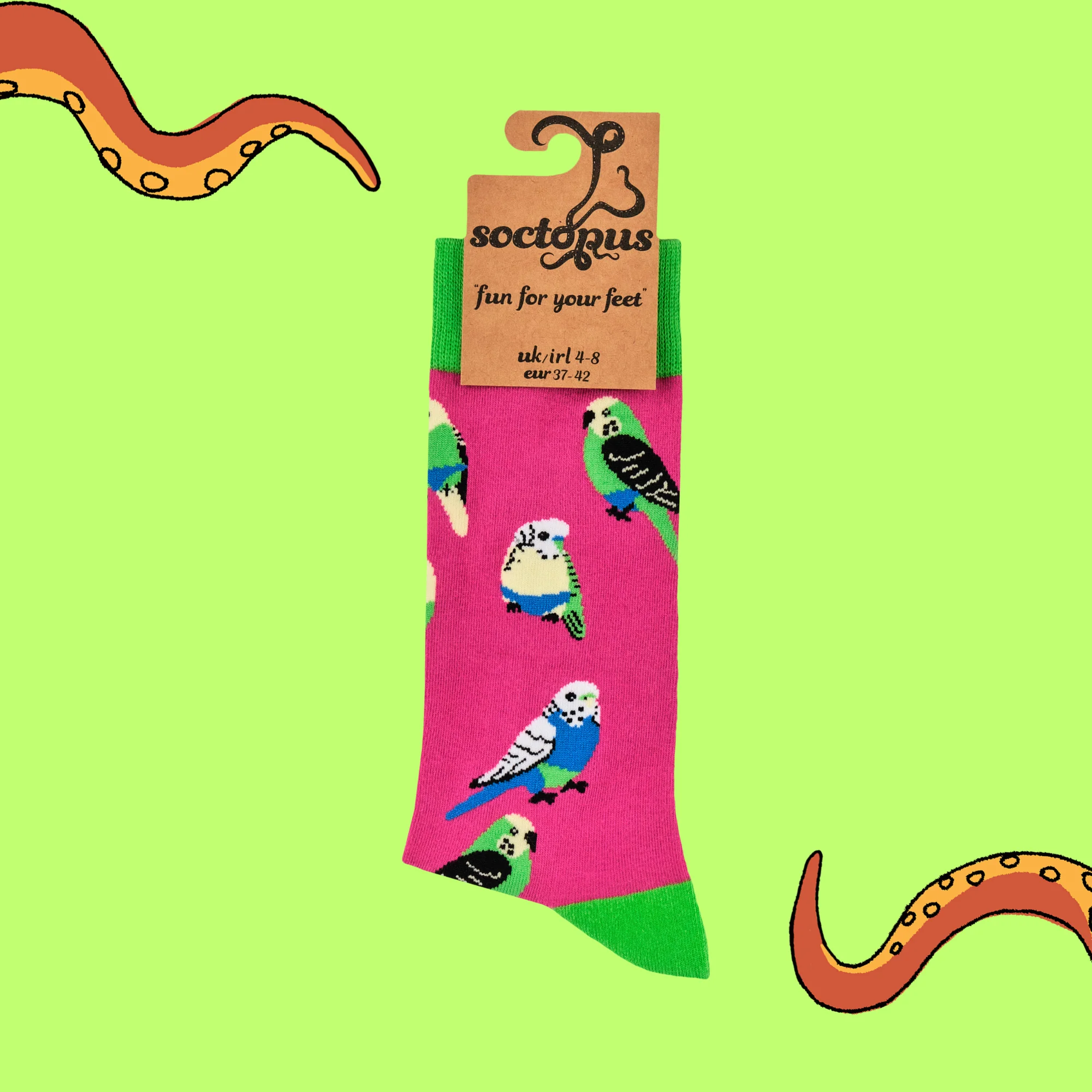 Bird Socks - Budgie Smugglers - Image 4