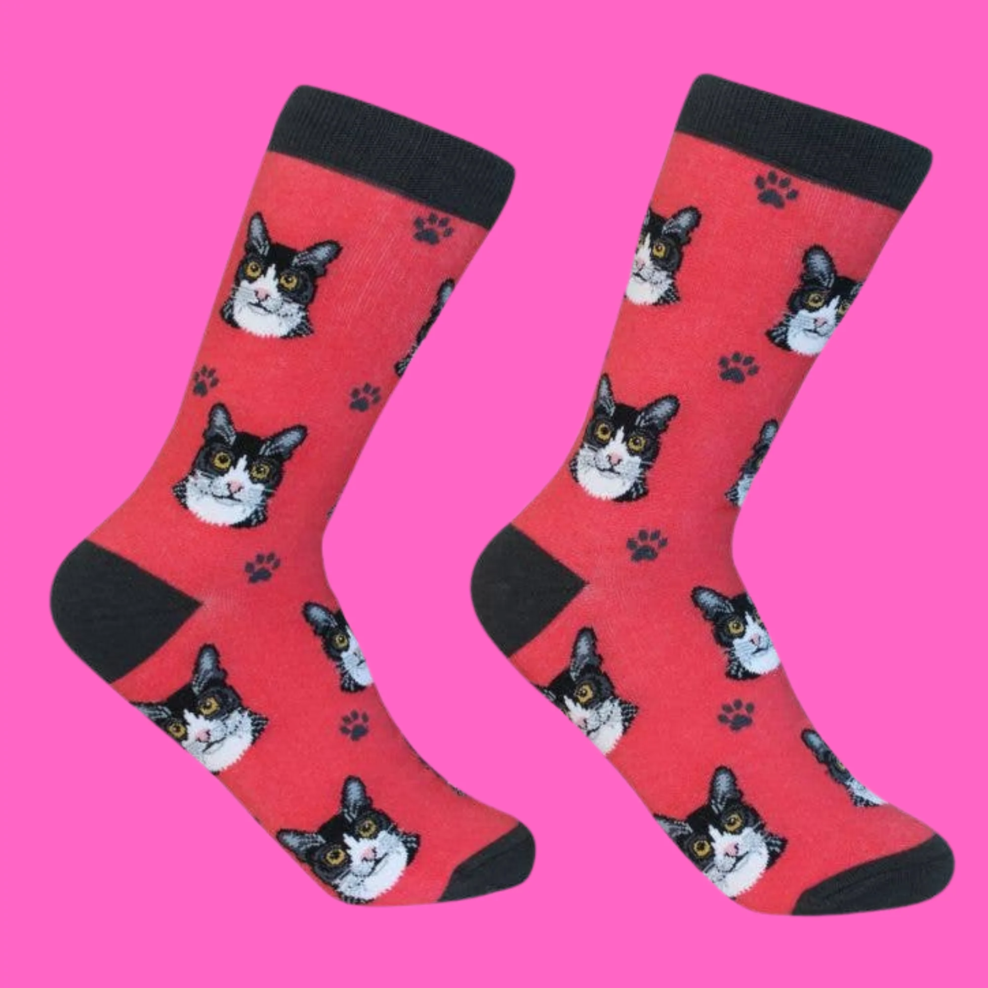 Black & White Cat Socks - Image 2