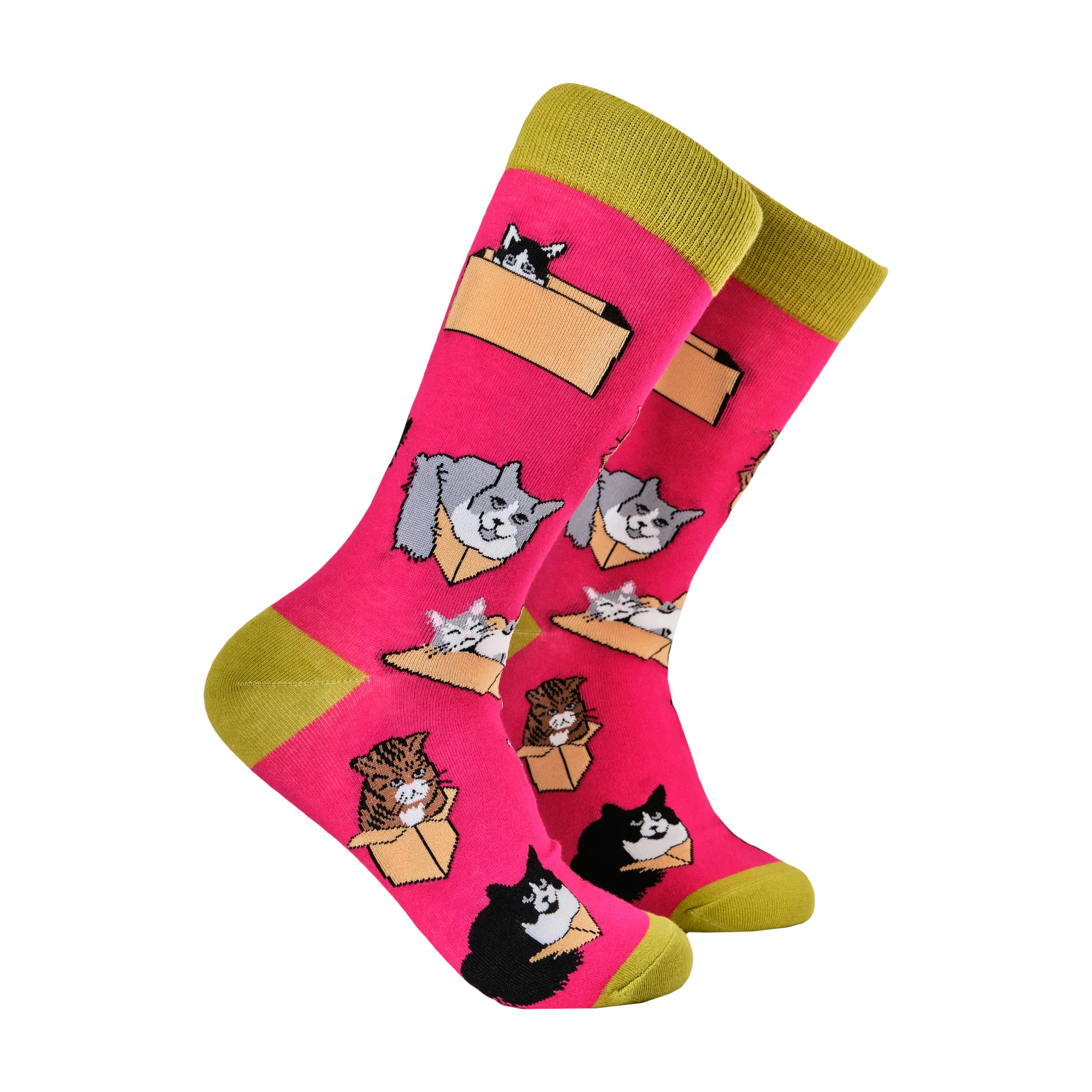 Cat Socks - Purrrfect Fit - Image 3