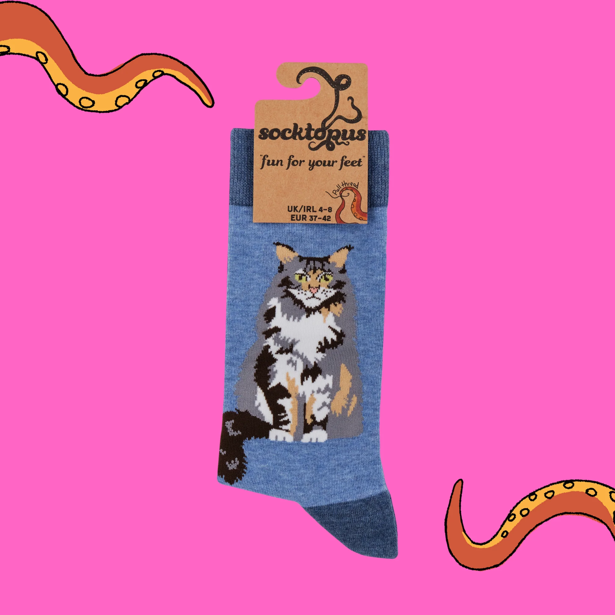 Cat Socks - Maine Coon Energy - Image 4