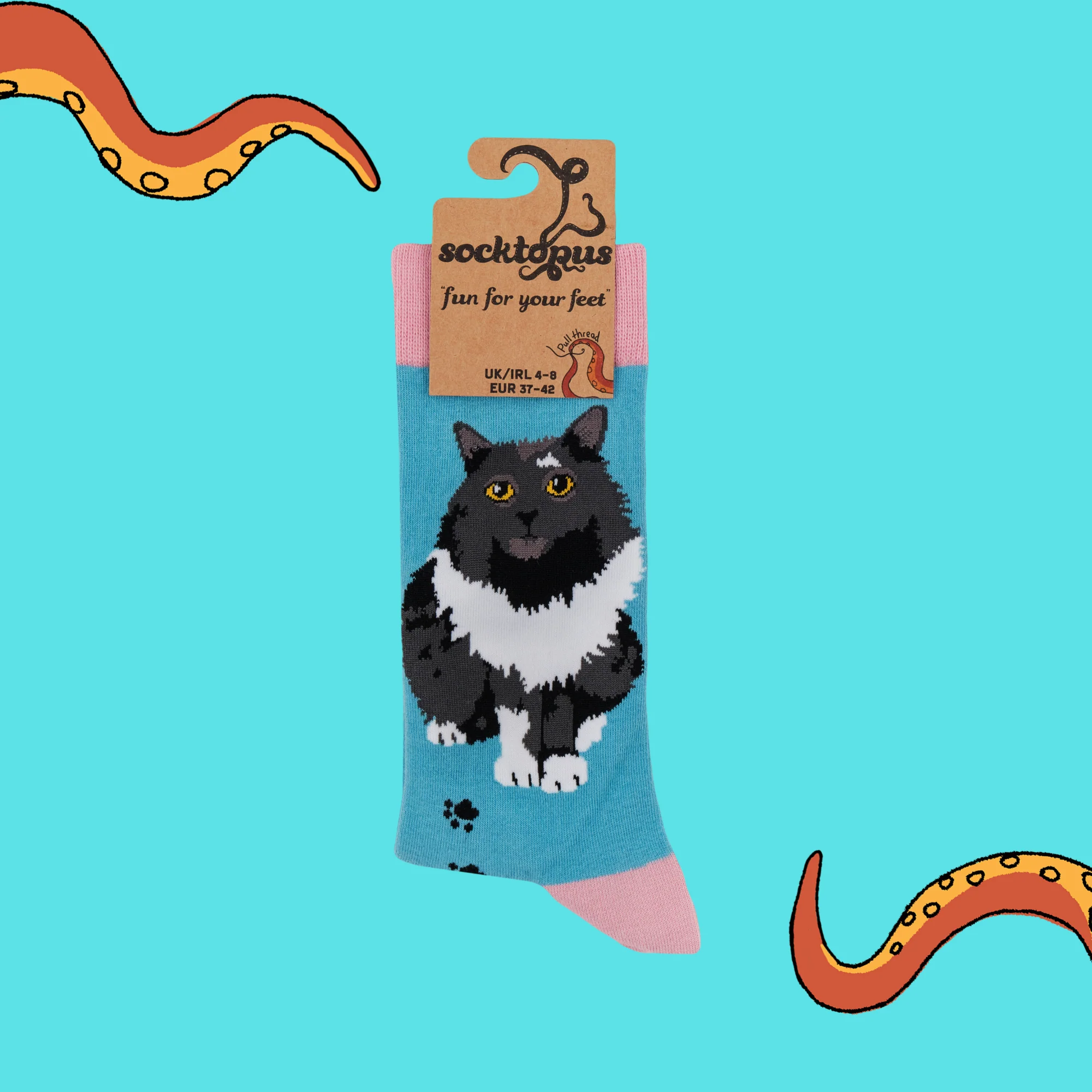 Cat Socks - Pro-Cat-stinating - Image 4