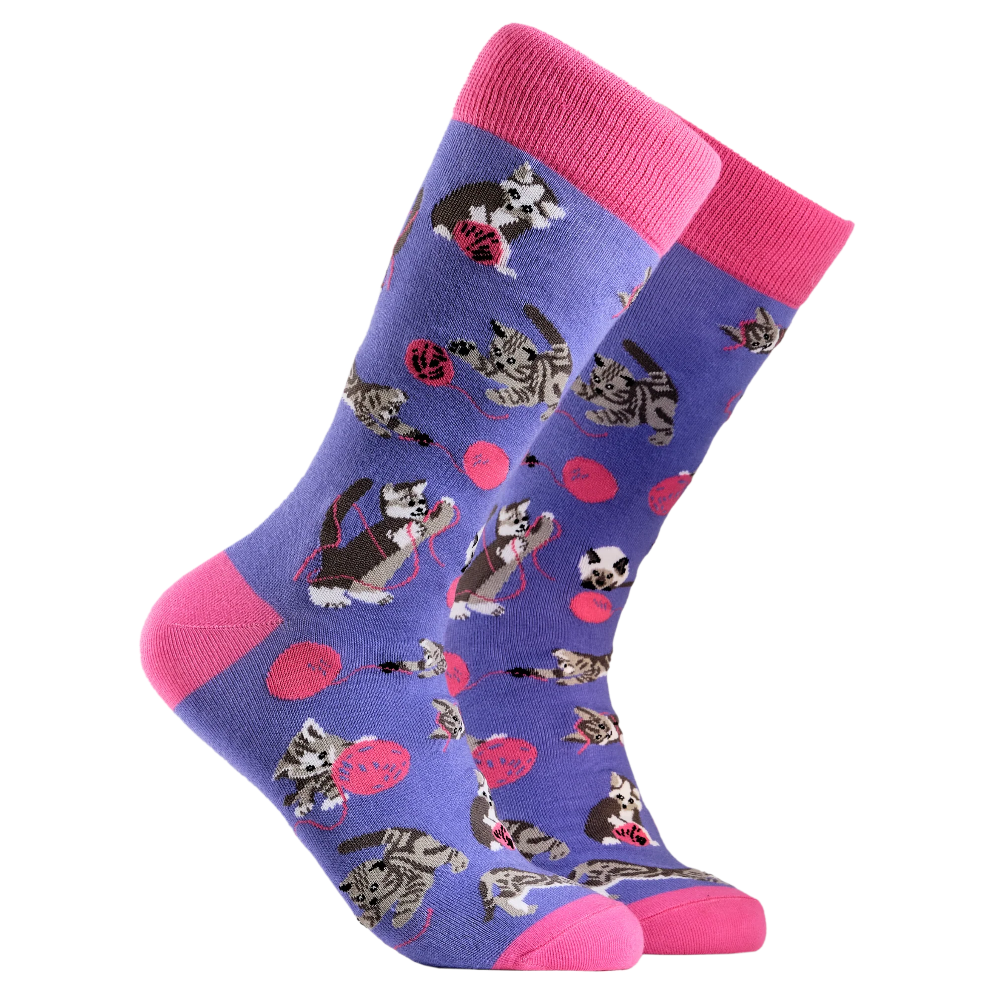 Cats and Wool Socks