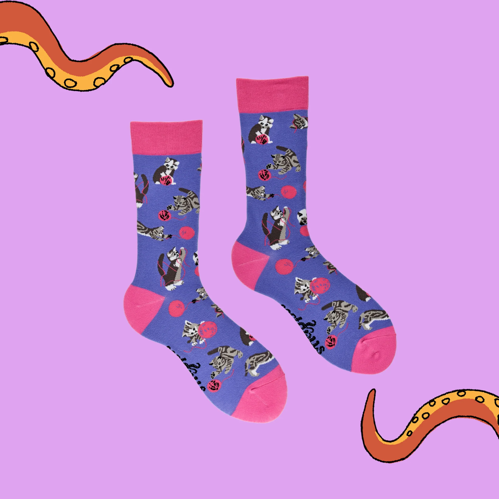 Cats and Wool Socks - Image 5