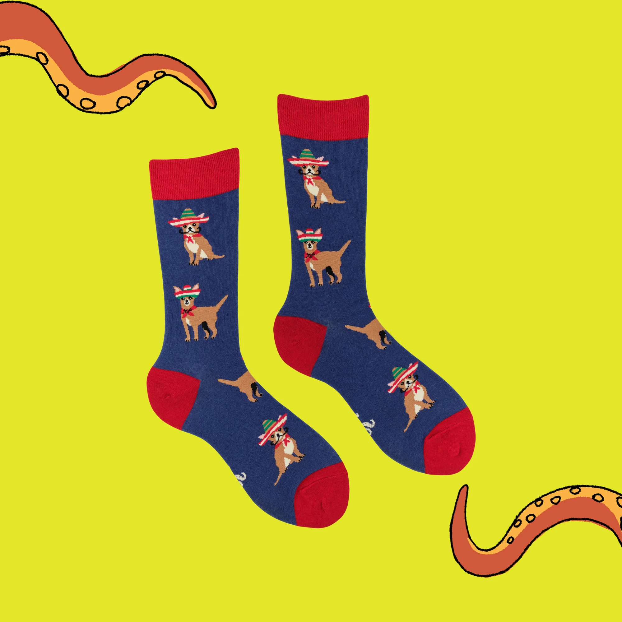 Chihuahua Socks - Pico de Chihuahuo - Image 3