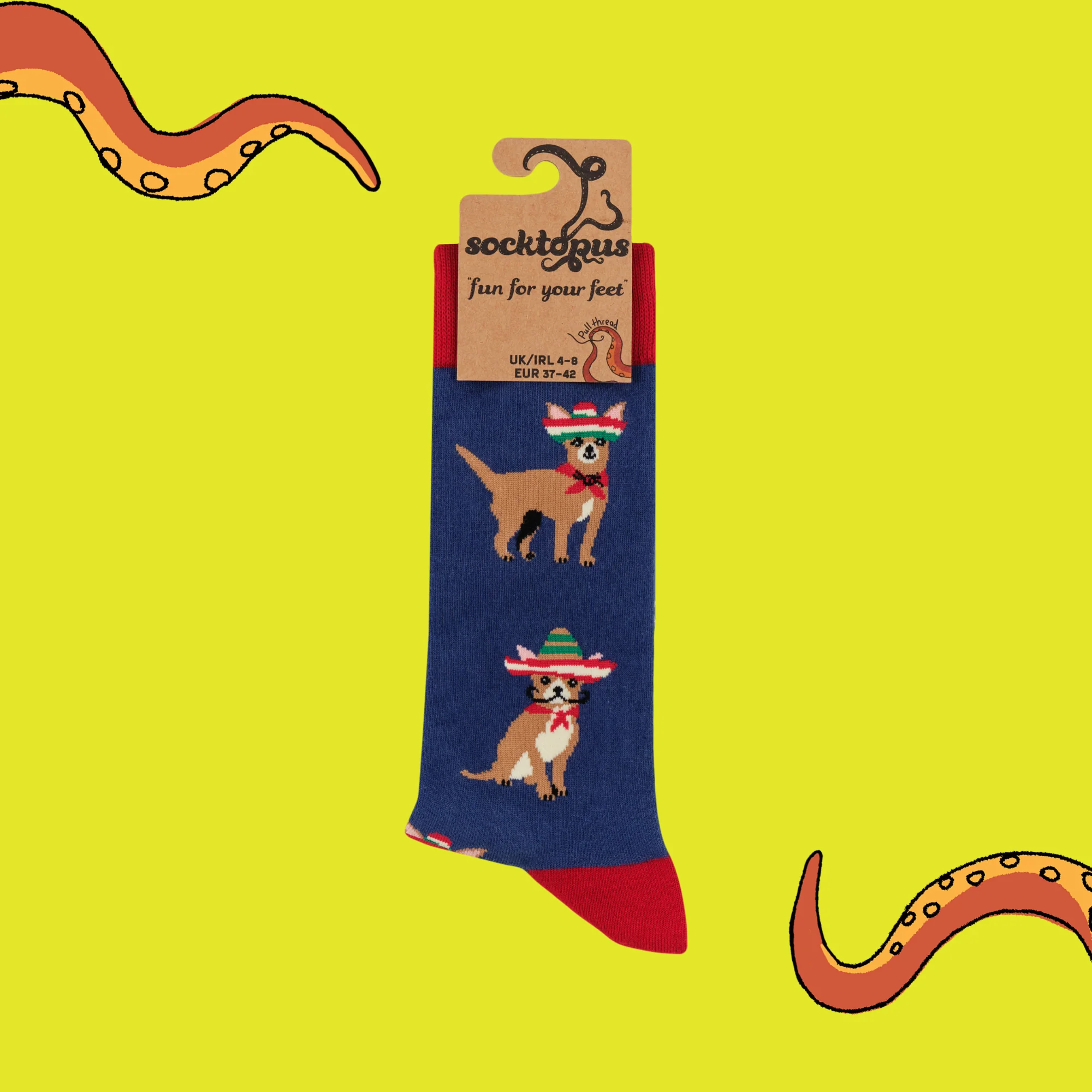 Chihuahua Socks - Pico de Chihuahuo - Image 4