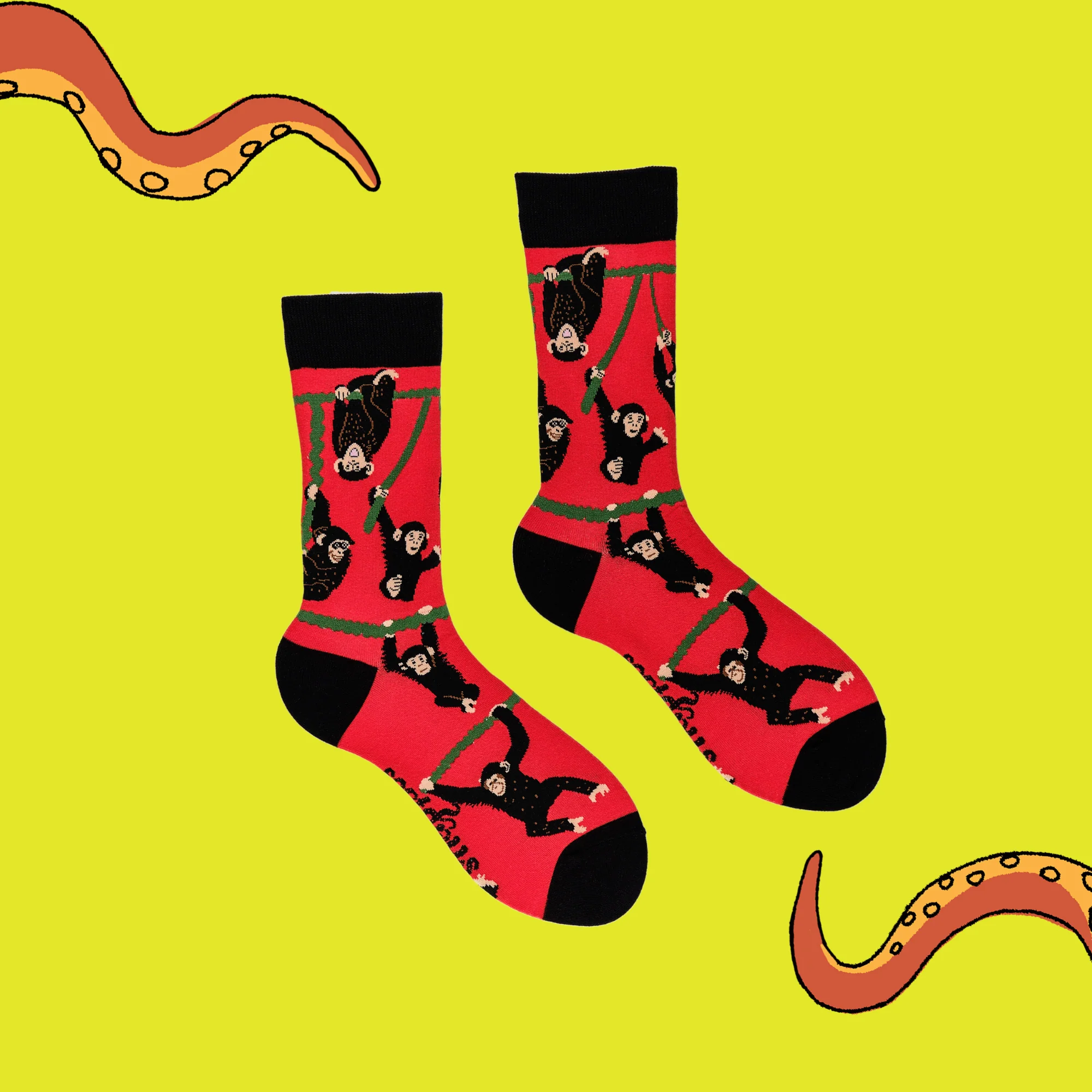 Chimpanzees Socks - Image 5