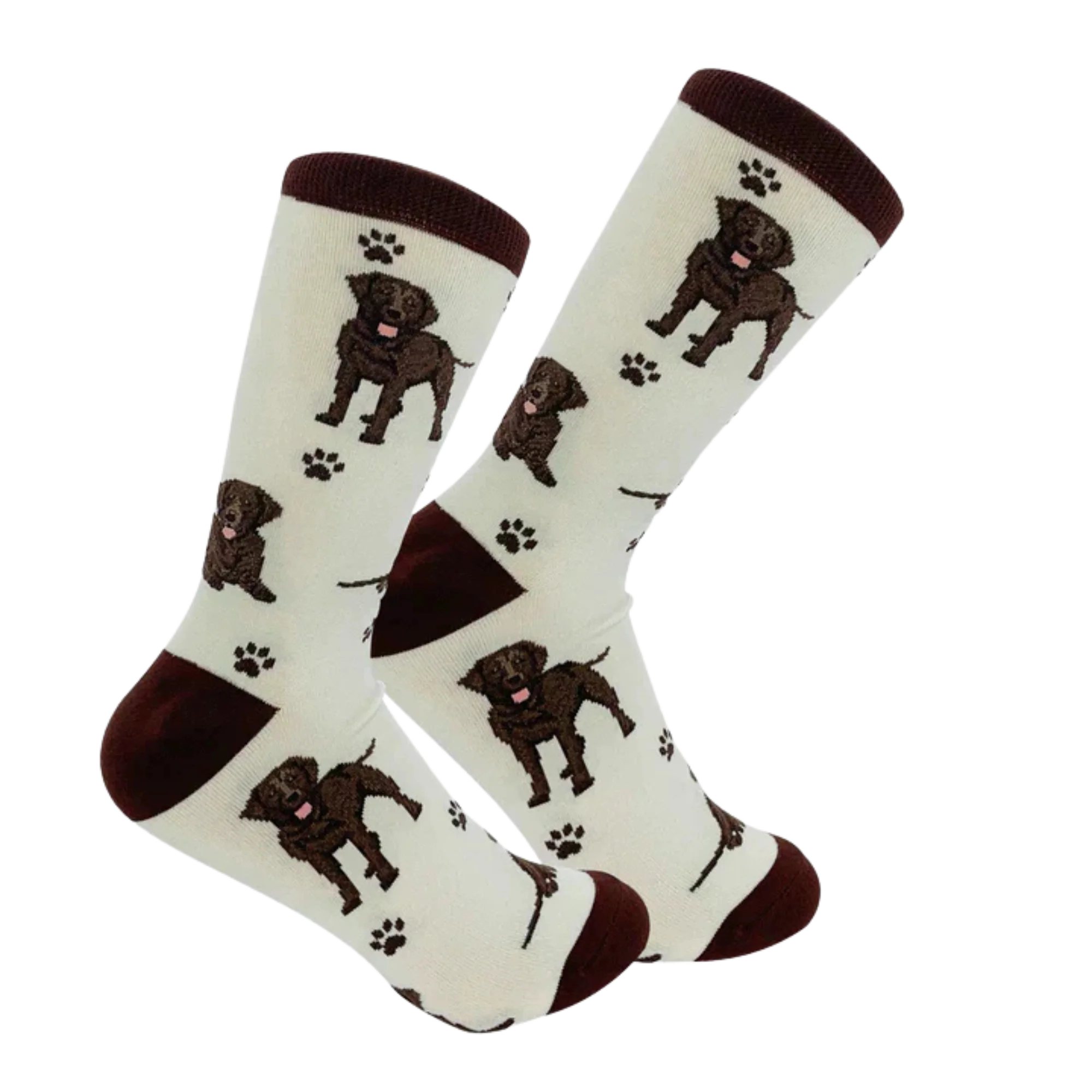 Chocolate Labrador Dog Full Body Socks