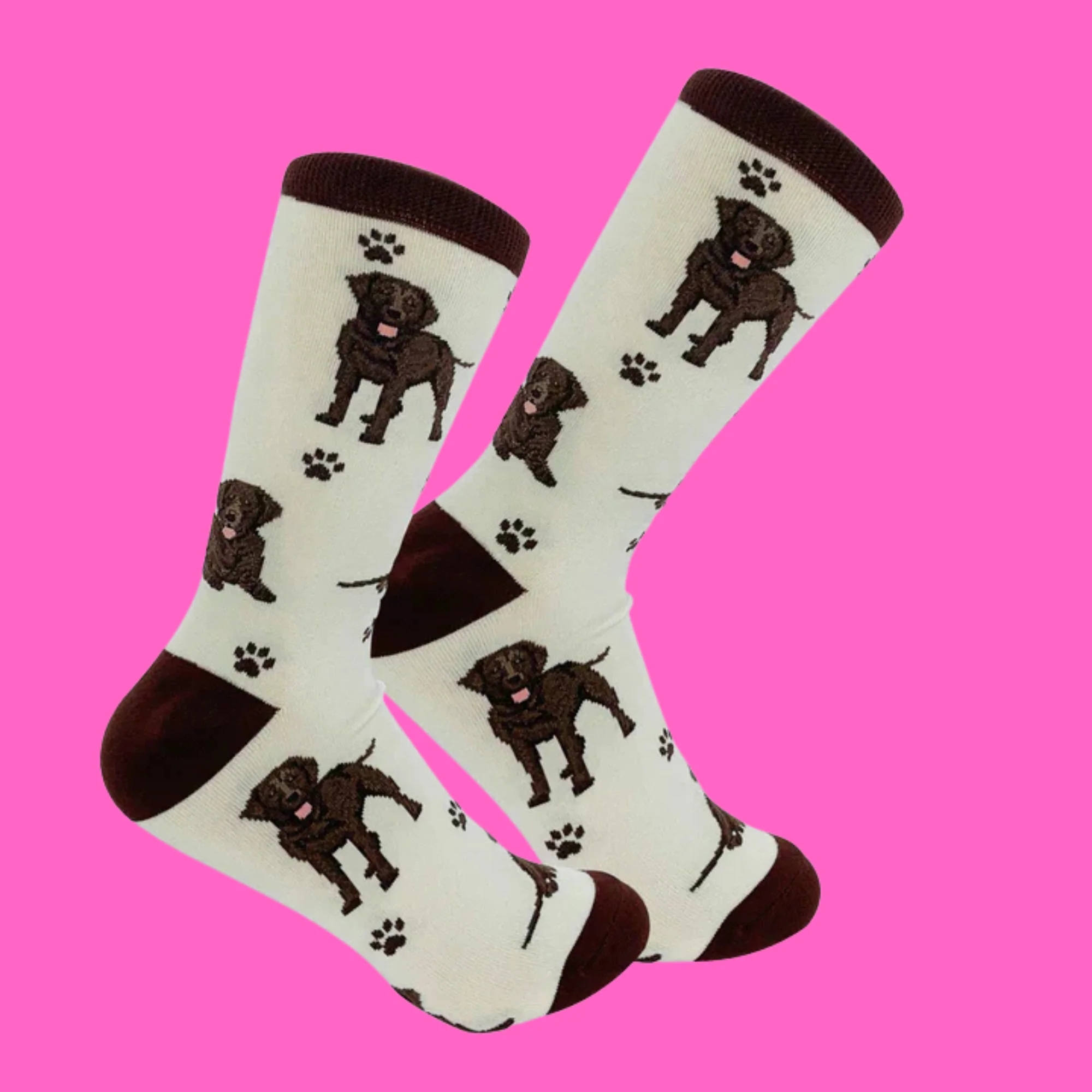 Chocolate Labrador Dog Full Body Socks - Image 2