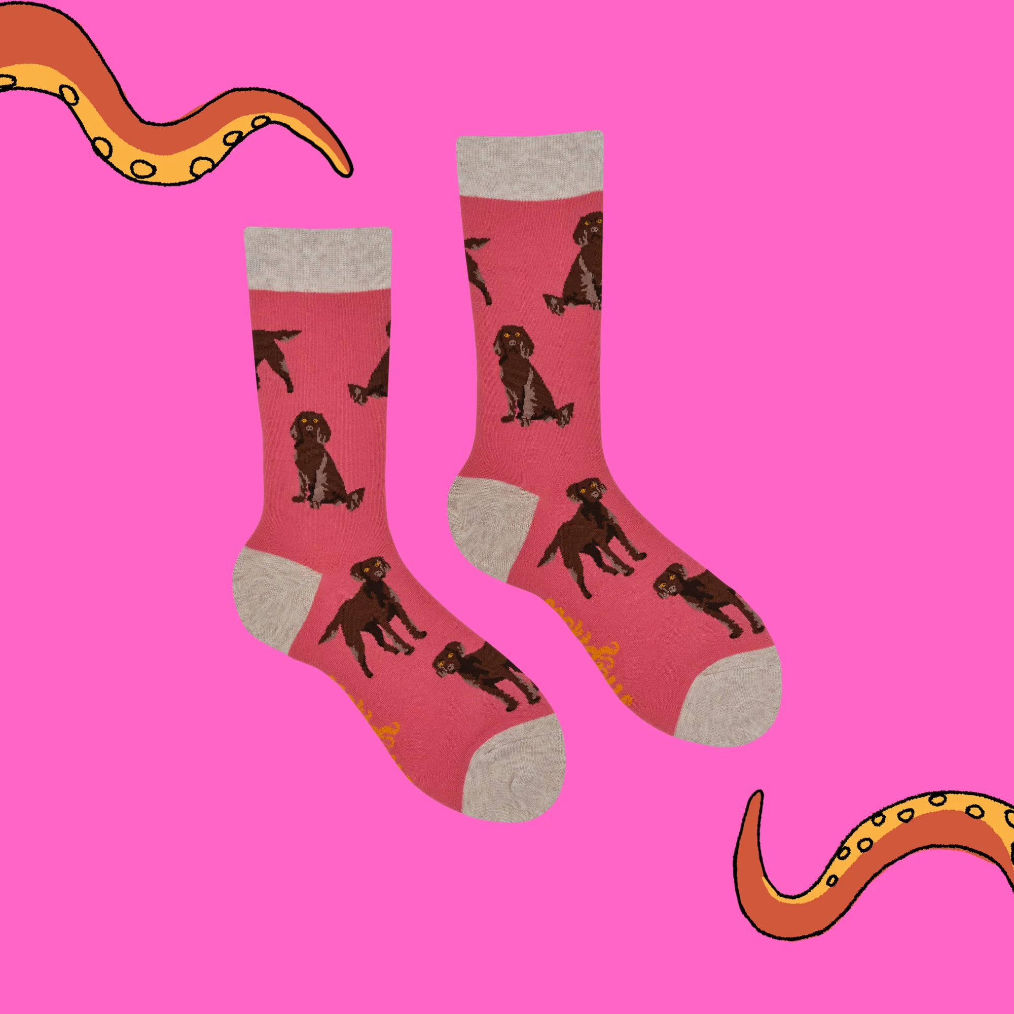 Chocolate Spaniel Socks - Span au Chocolat - Image 4