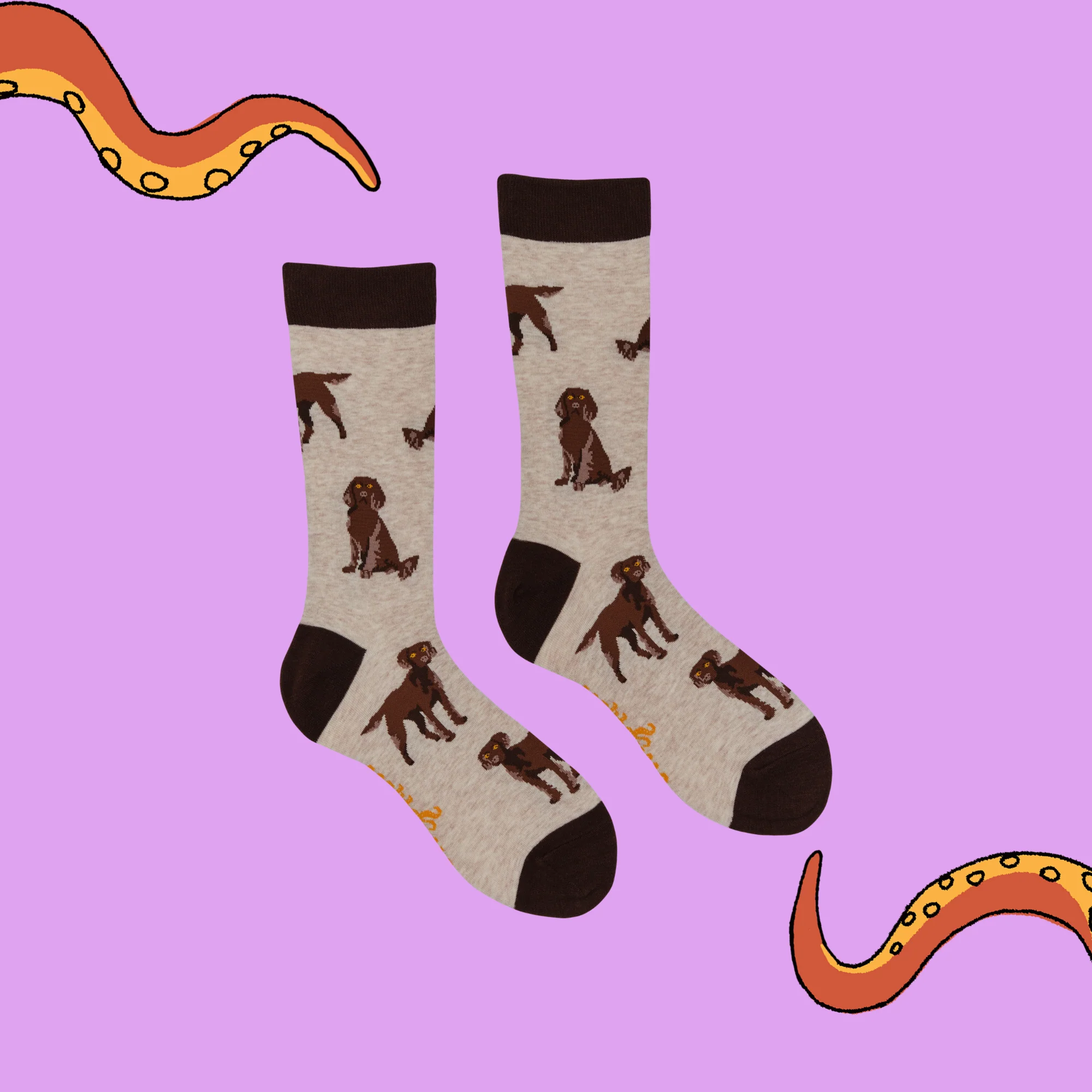 Chocolate Spaniel Socks - Span au Chocolat - Image 5