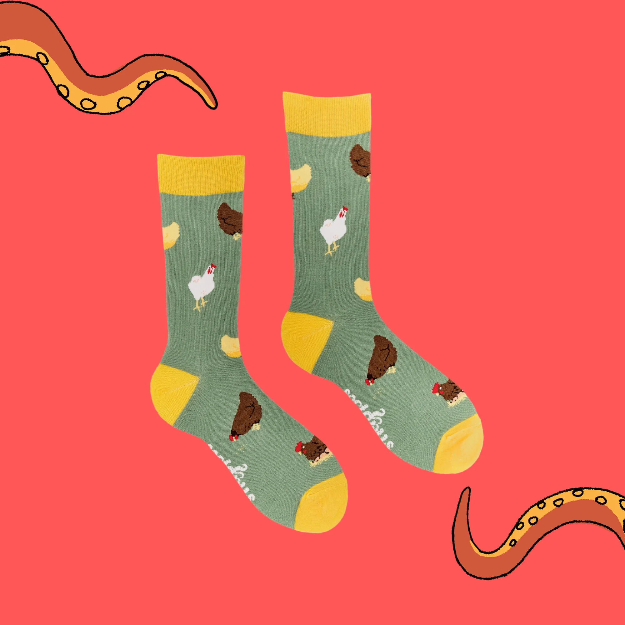 Chicken Socks - Clucking Good Life 2 - Image 3