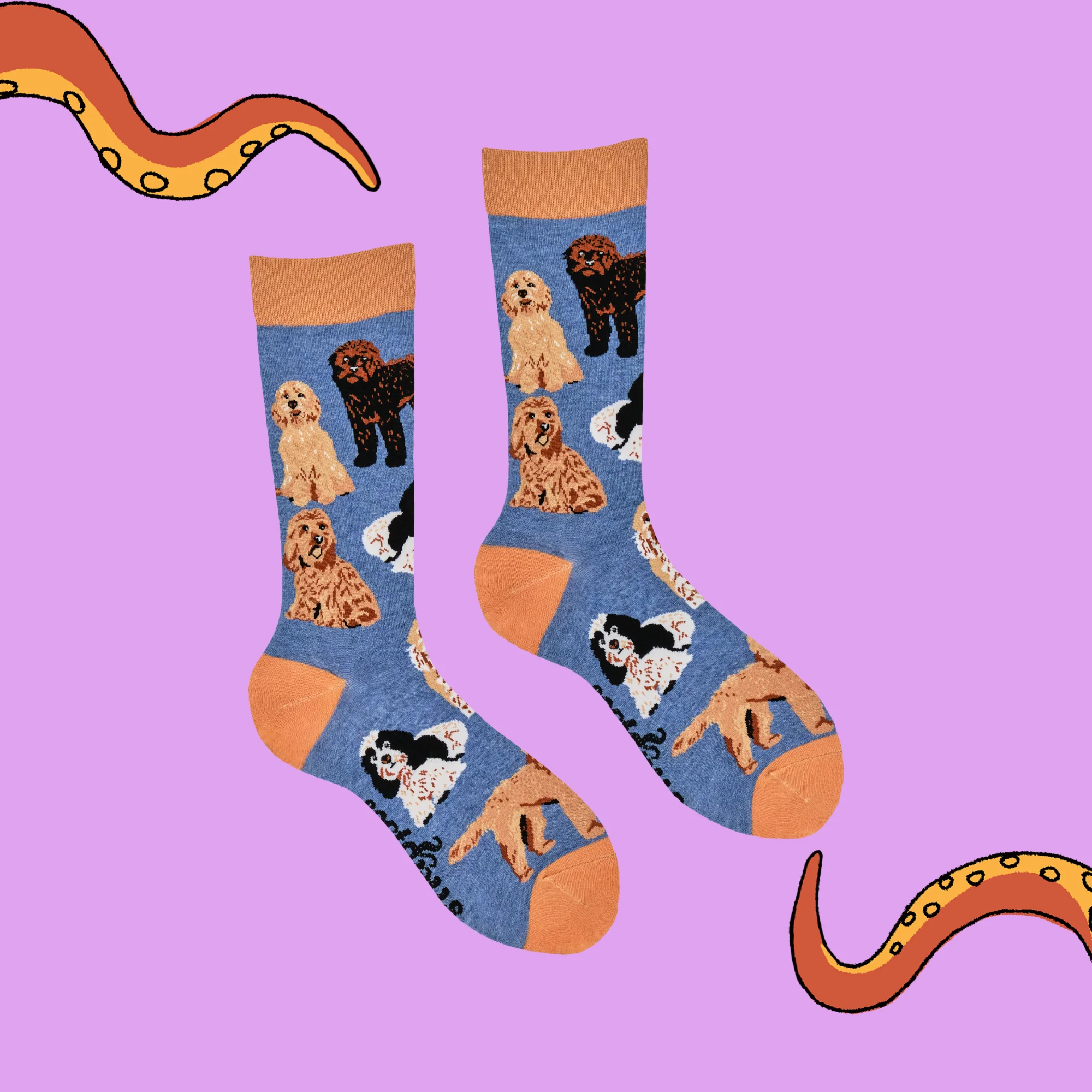 Cockapoo Socks - Cockapoodle-Doo - Image 3