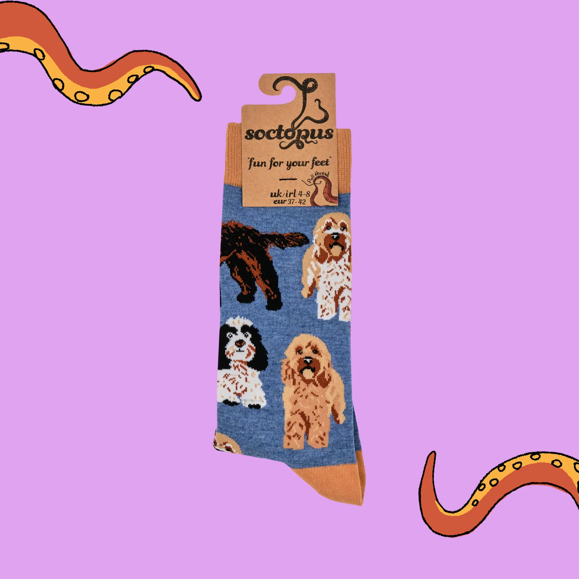 Cockapoo Socks - Cockapoodle-Doo - Image 4