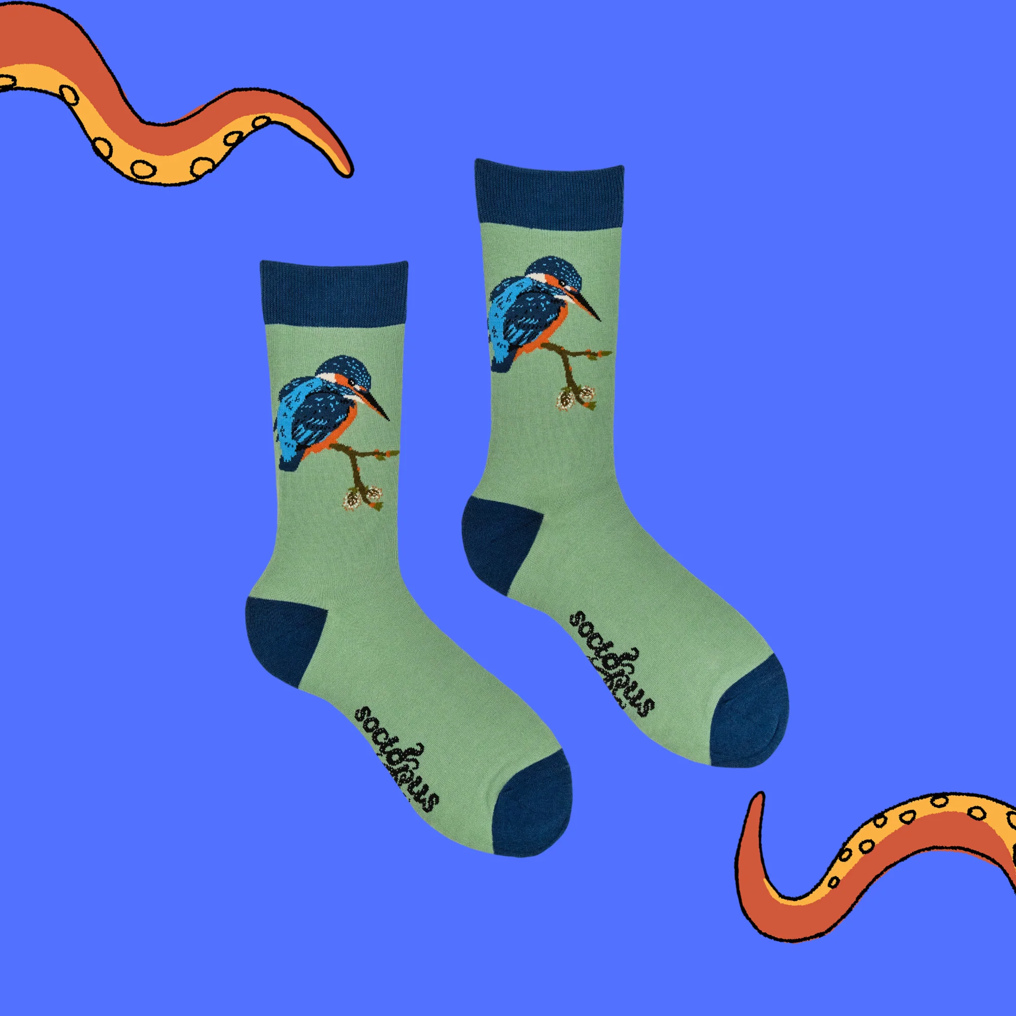 Bird Socks - Socktopus X Robert E. Fuller - Image 3