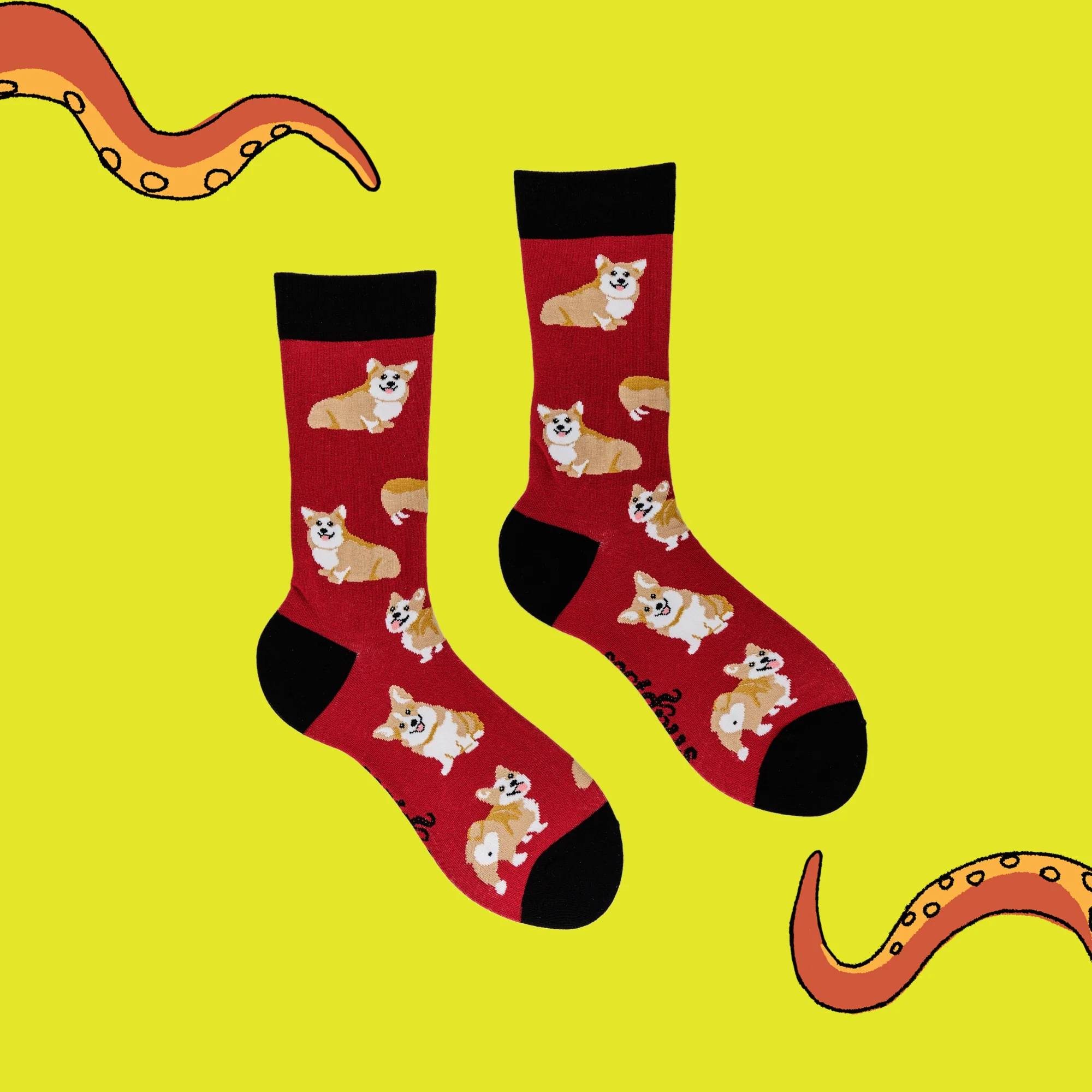 Corgis Socks - Image 3