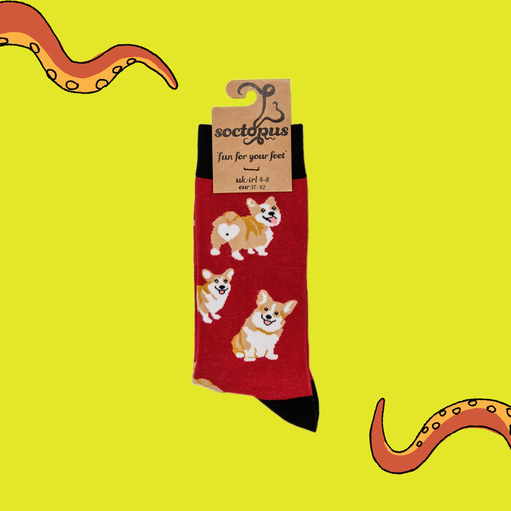 Corgis Socks - Image 4