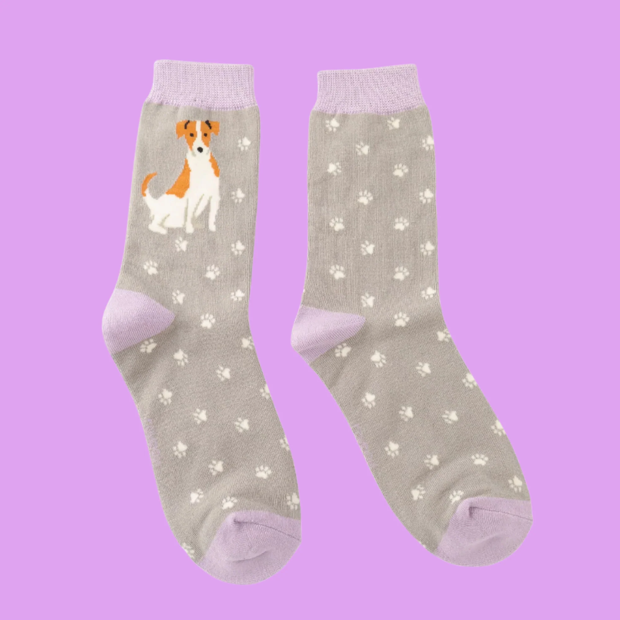 Bamboo Socks - Cute Jack Russells - Miss Sparrow - Image 2