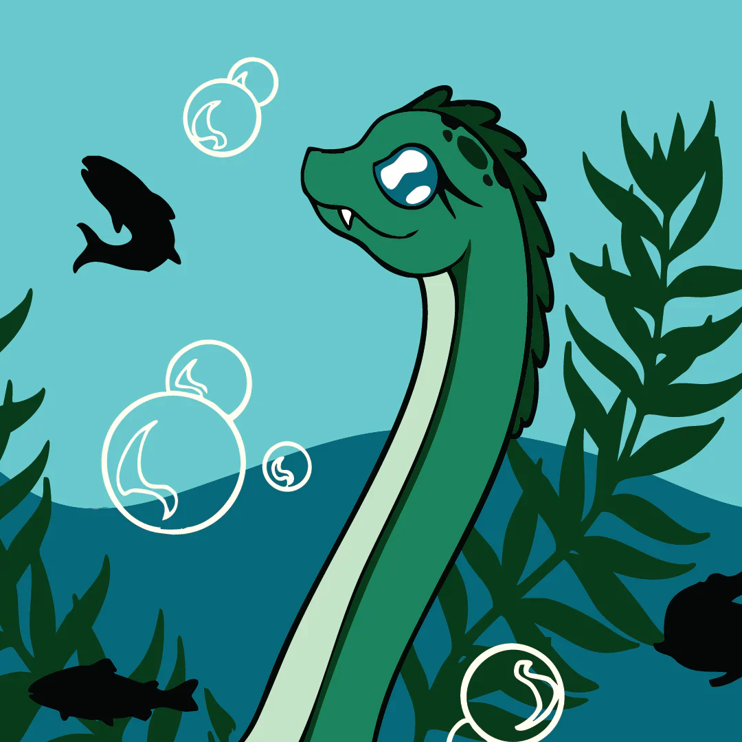 Cute Nessie Socks - Image 4