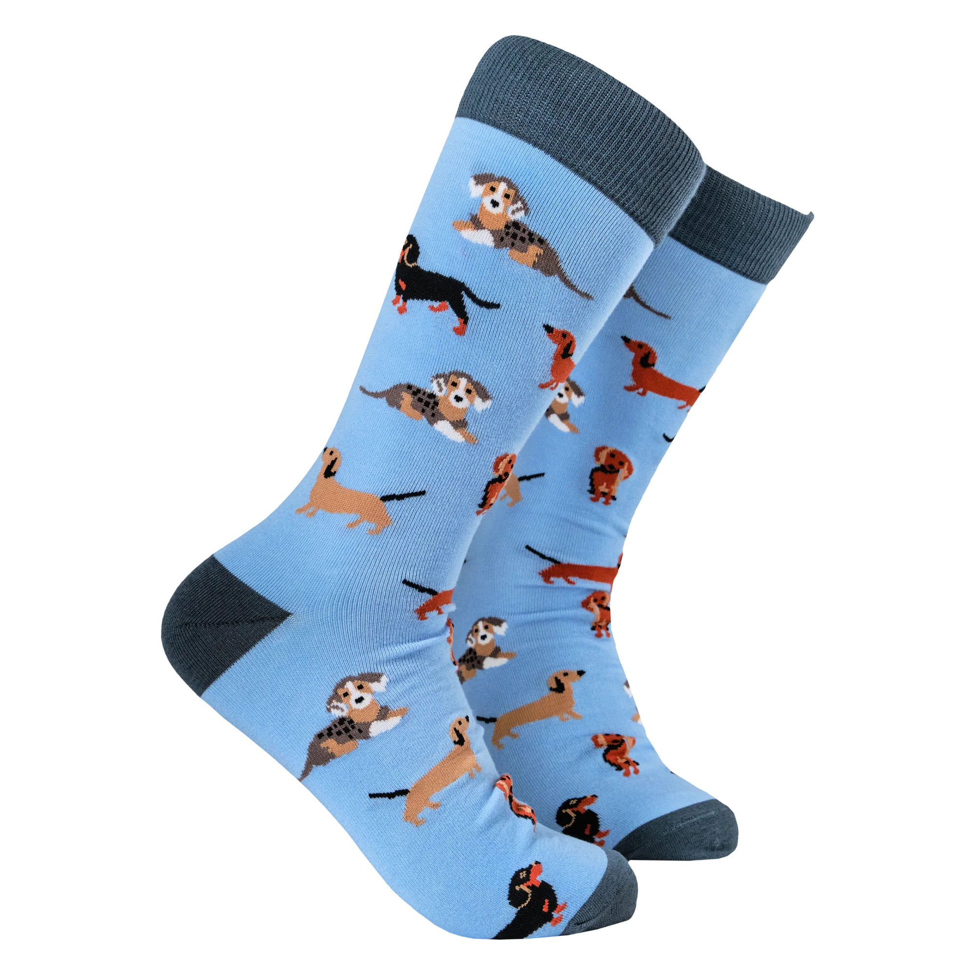 Sausage Dog Socks - Dasching Around 2 - Image 4