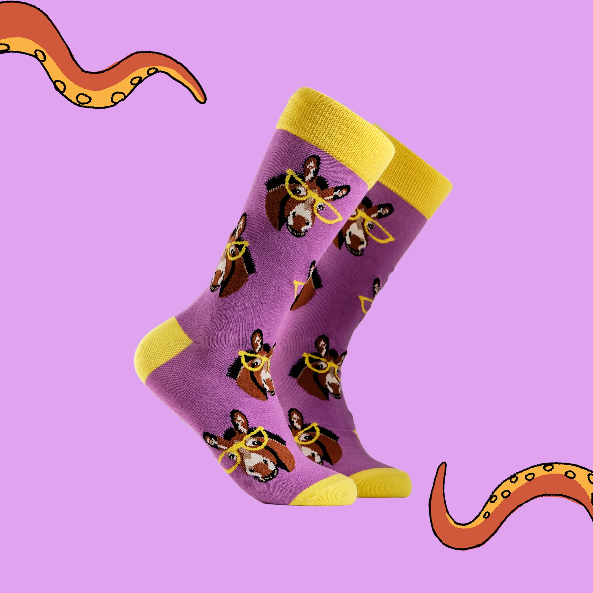 Donkey Socks - Smart Ass - Image 6