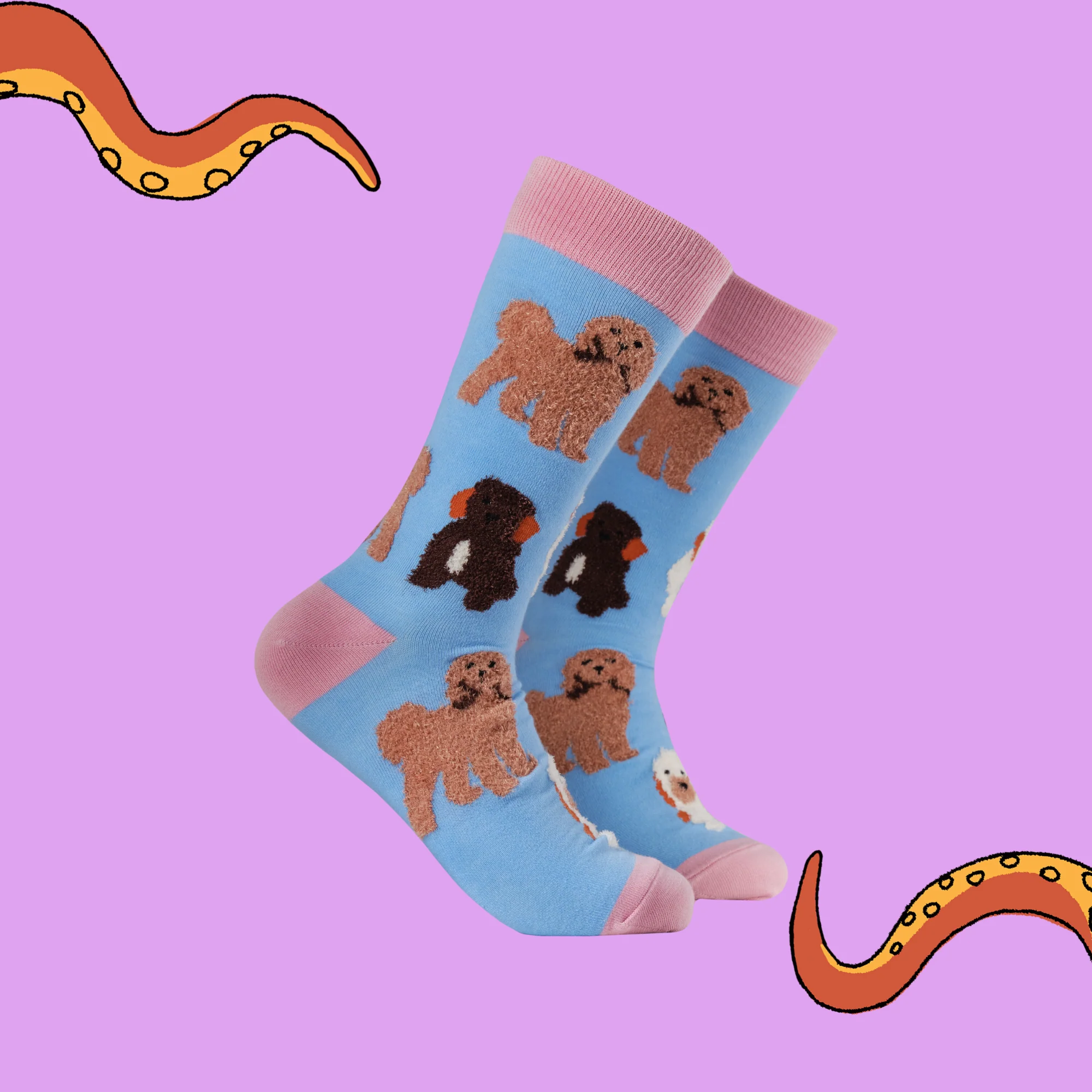 Fluffy Cockapoo Socks - Image 7
