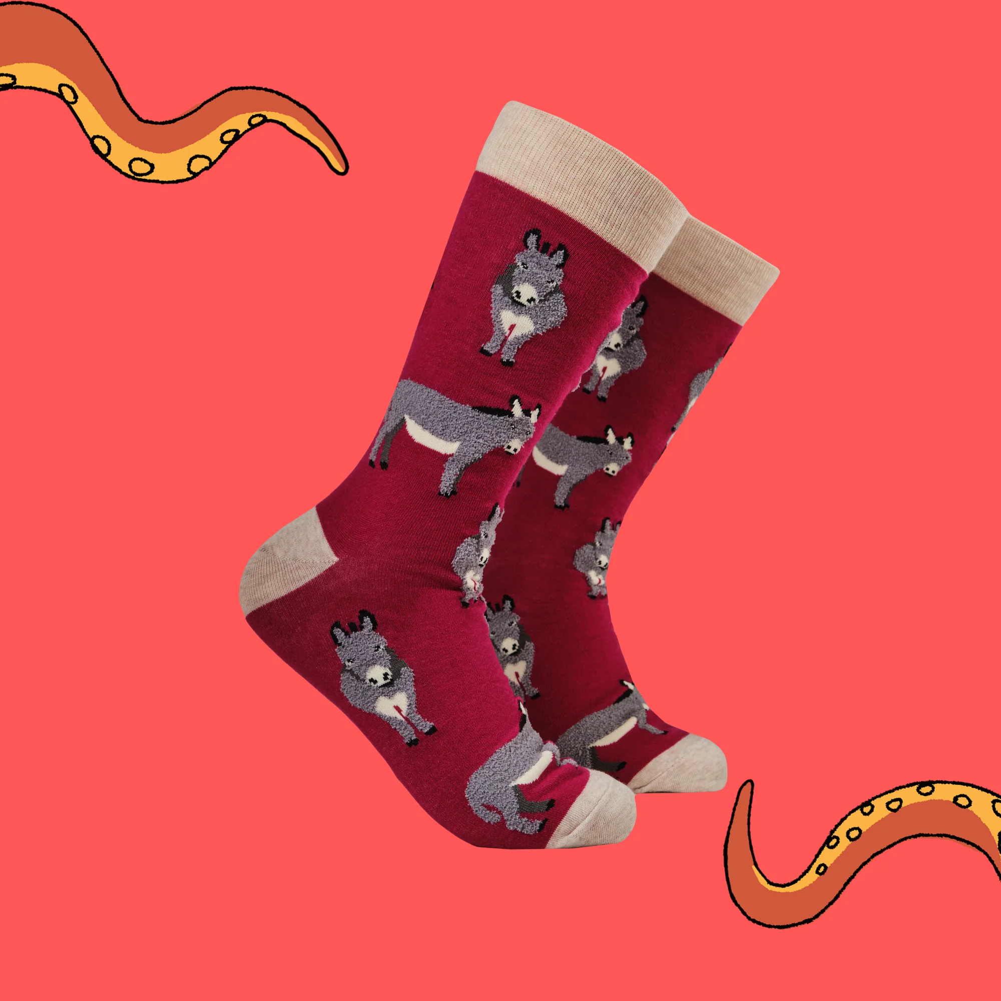 Fluffy Donkeys Socks - Image 4