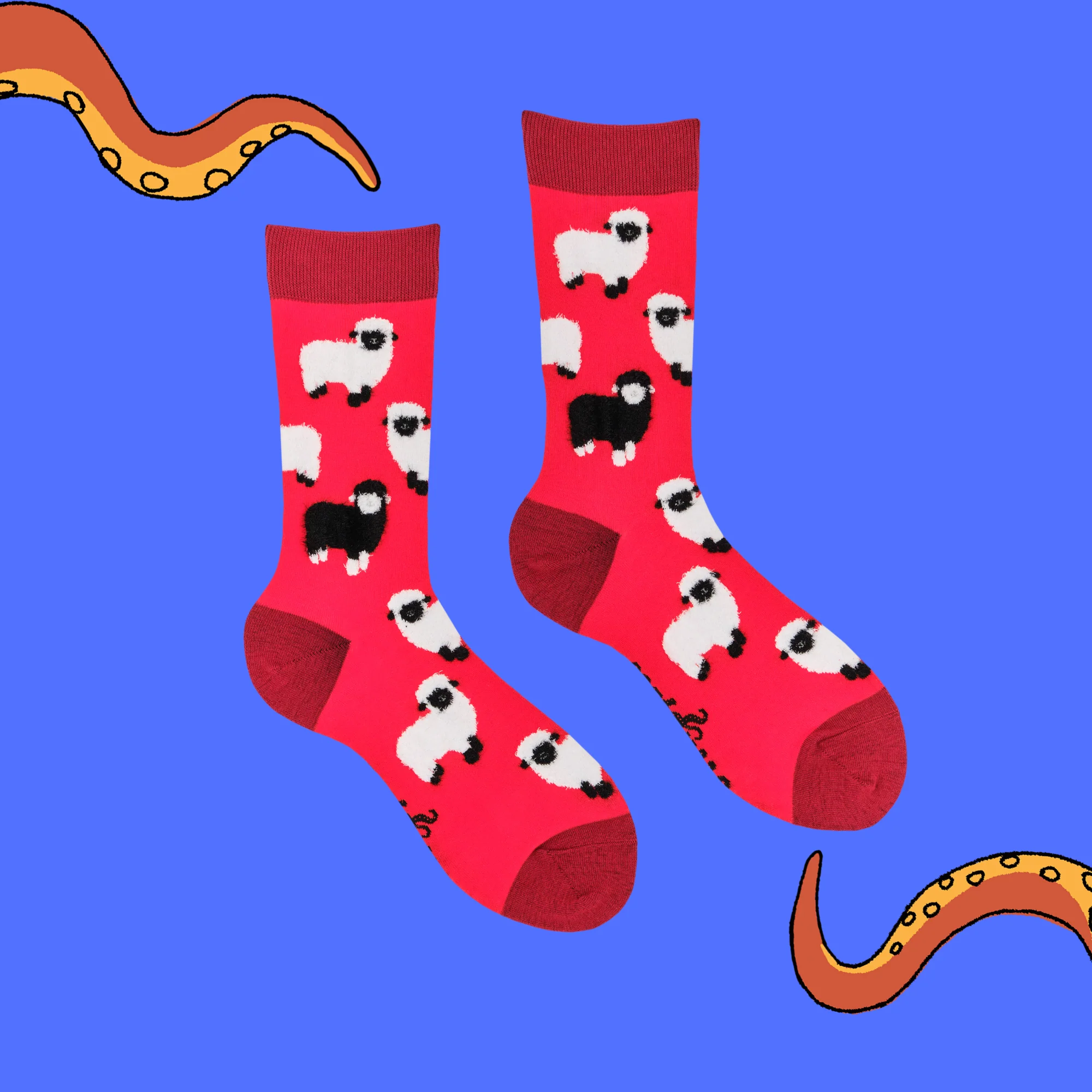 Fluffy Sheep Socks - Image 5