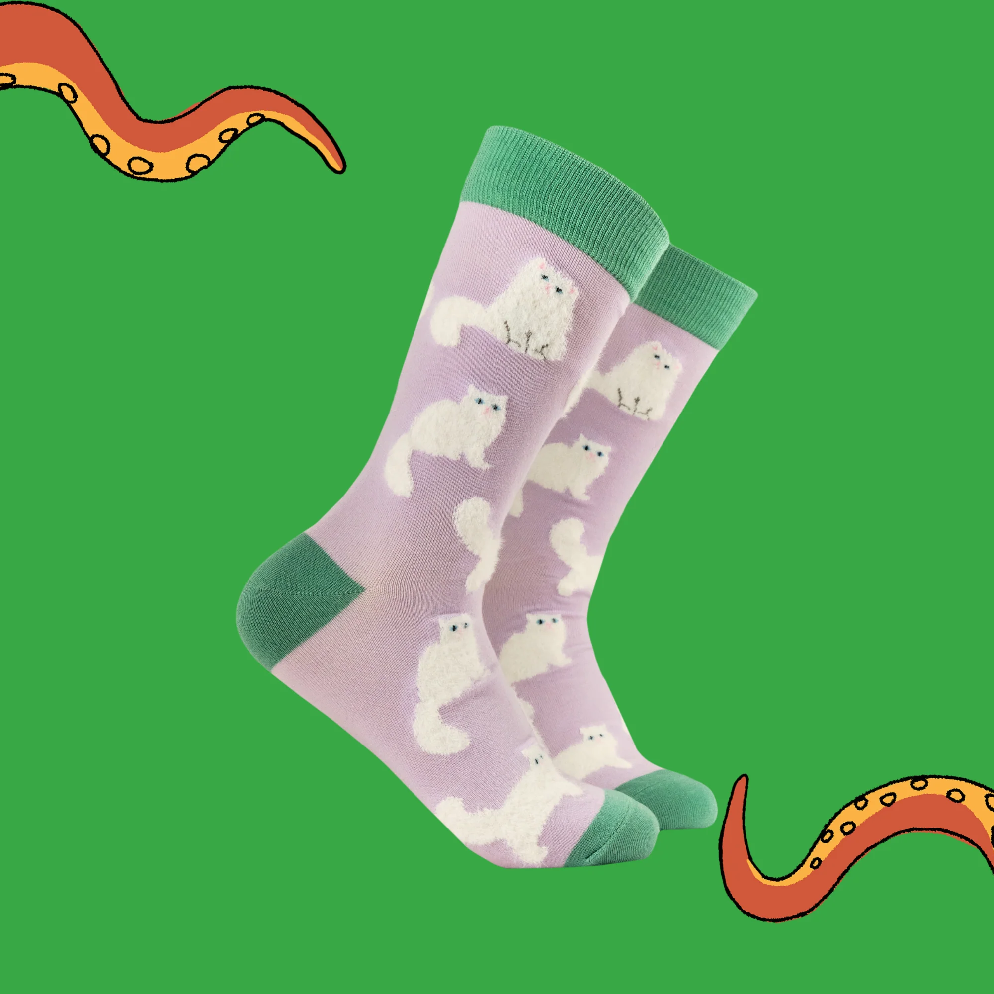 Fluffy White Cats Socks - Image 4