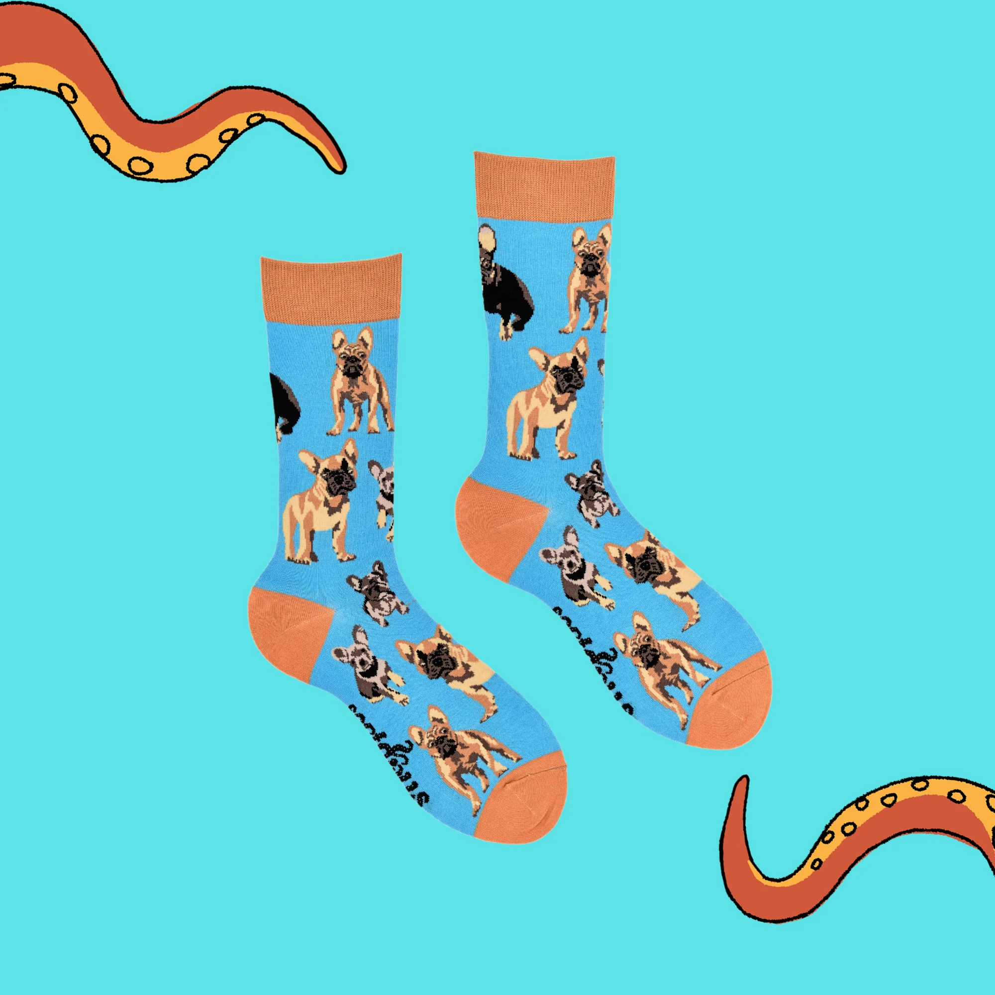 French Bulldog Socks - Frenchies - Image 3