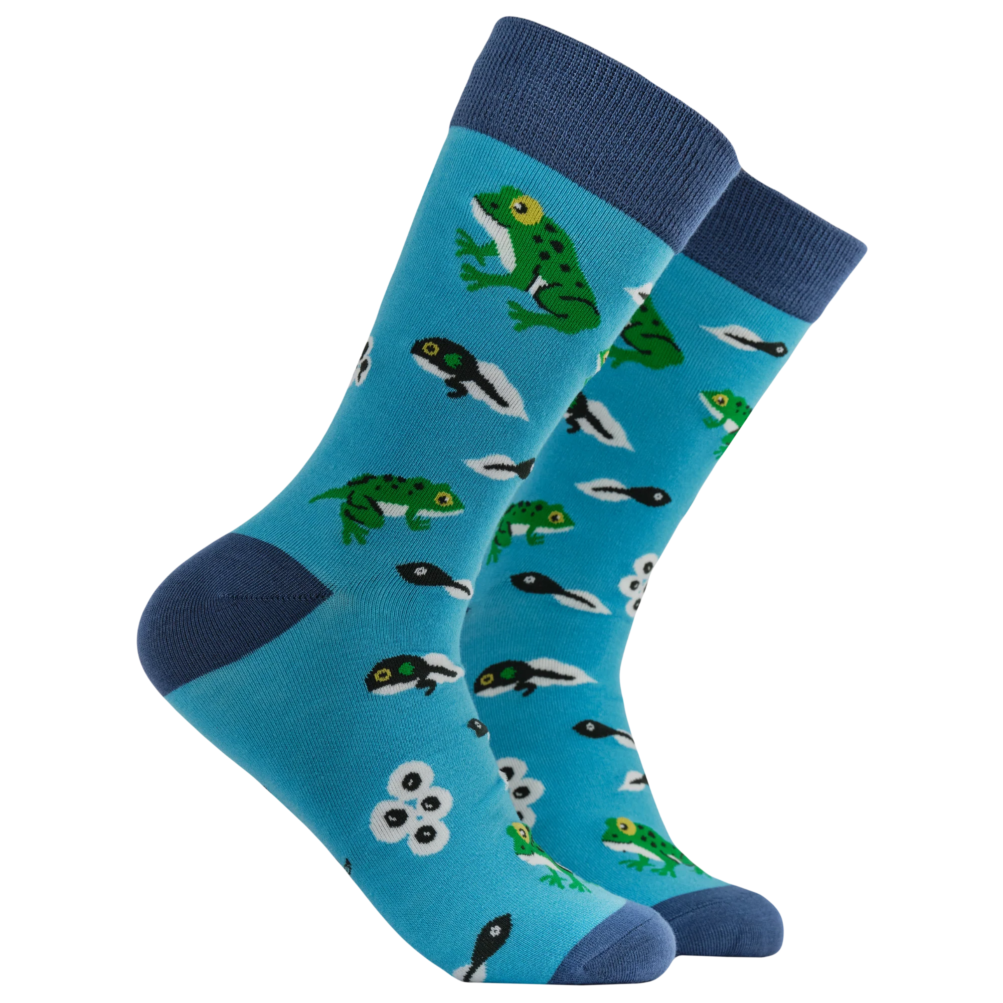 Bamboo Socks - Frog Lifecycle - Frogtopus